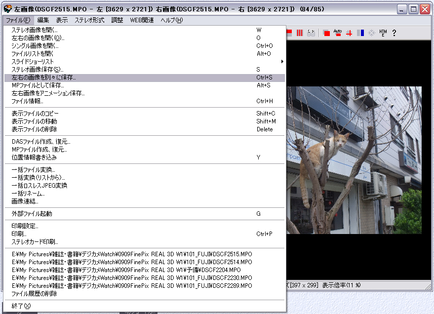 <b>画像保存の際、3D写真としての表示方式はいろいろ選択できるが、とりあえず「左右の画像を別々に保存」が最も汎用性が高いだろう</b>