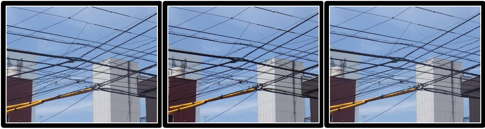 <b>何気なく望遠端で電線を撮ってみたのだが、これも思いのほか面白い。望遠レンズによる3D写真は、これまでのステレオ写真になかった、新たな感覚をもたらしてくれる。高松市</b>
