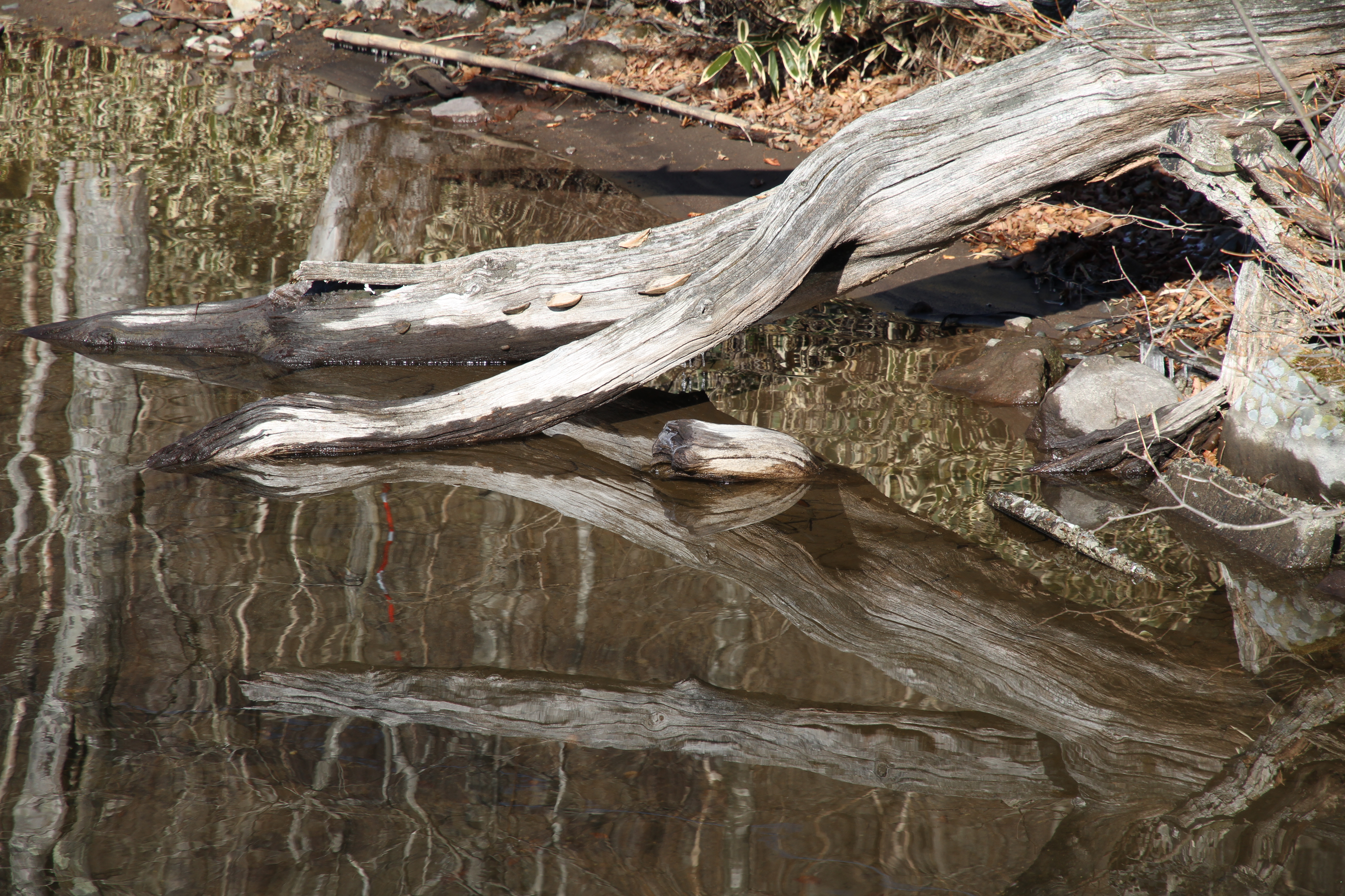 <b>5,184×3,456 / 1/320秒 / F5.6 / 0EV / ISO100 / 絞り優先AE / WB:オート / 85mm</b>