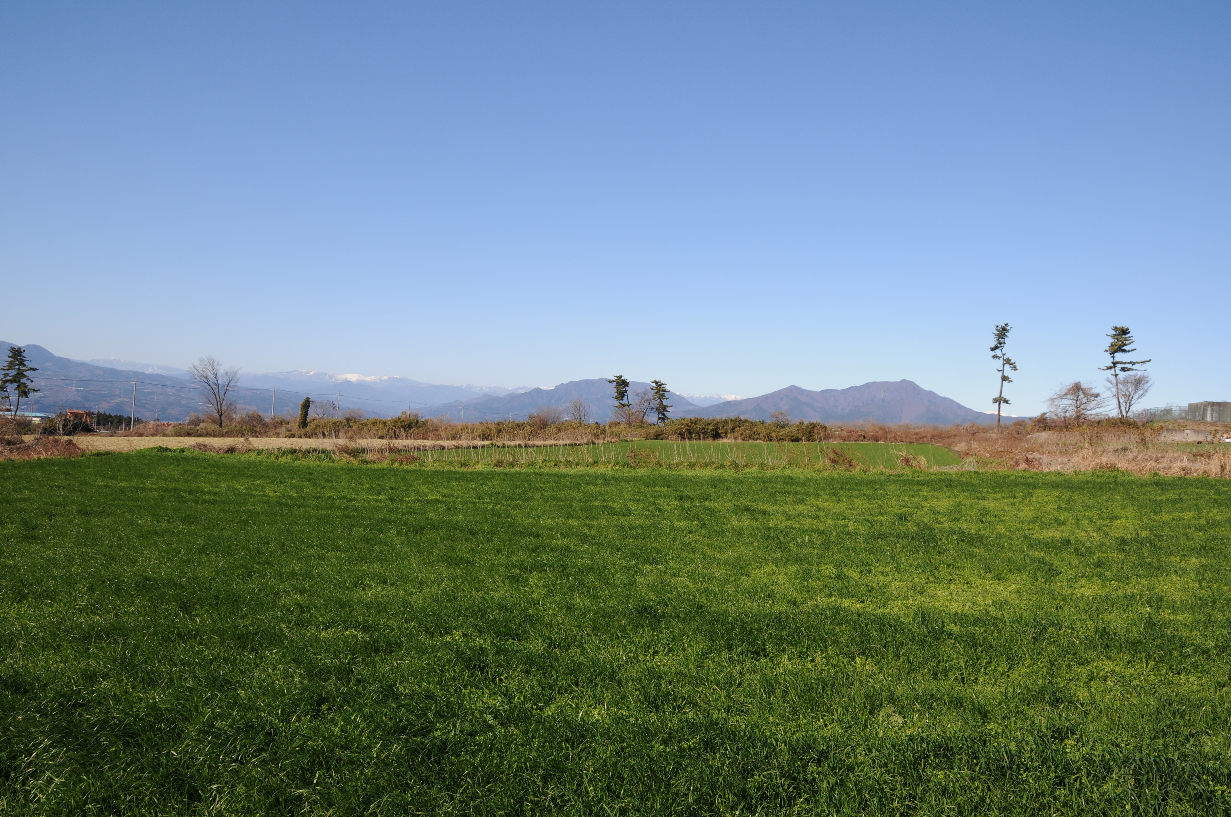 <b>D300S、以下同じ<br>4,288×2,848 / 1/500秒 / F8 / 0EV / ISO200 / 絞り優先AE / WB:オート / 16mm</b>