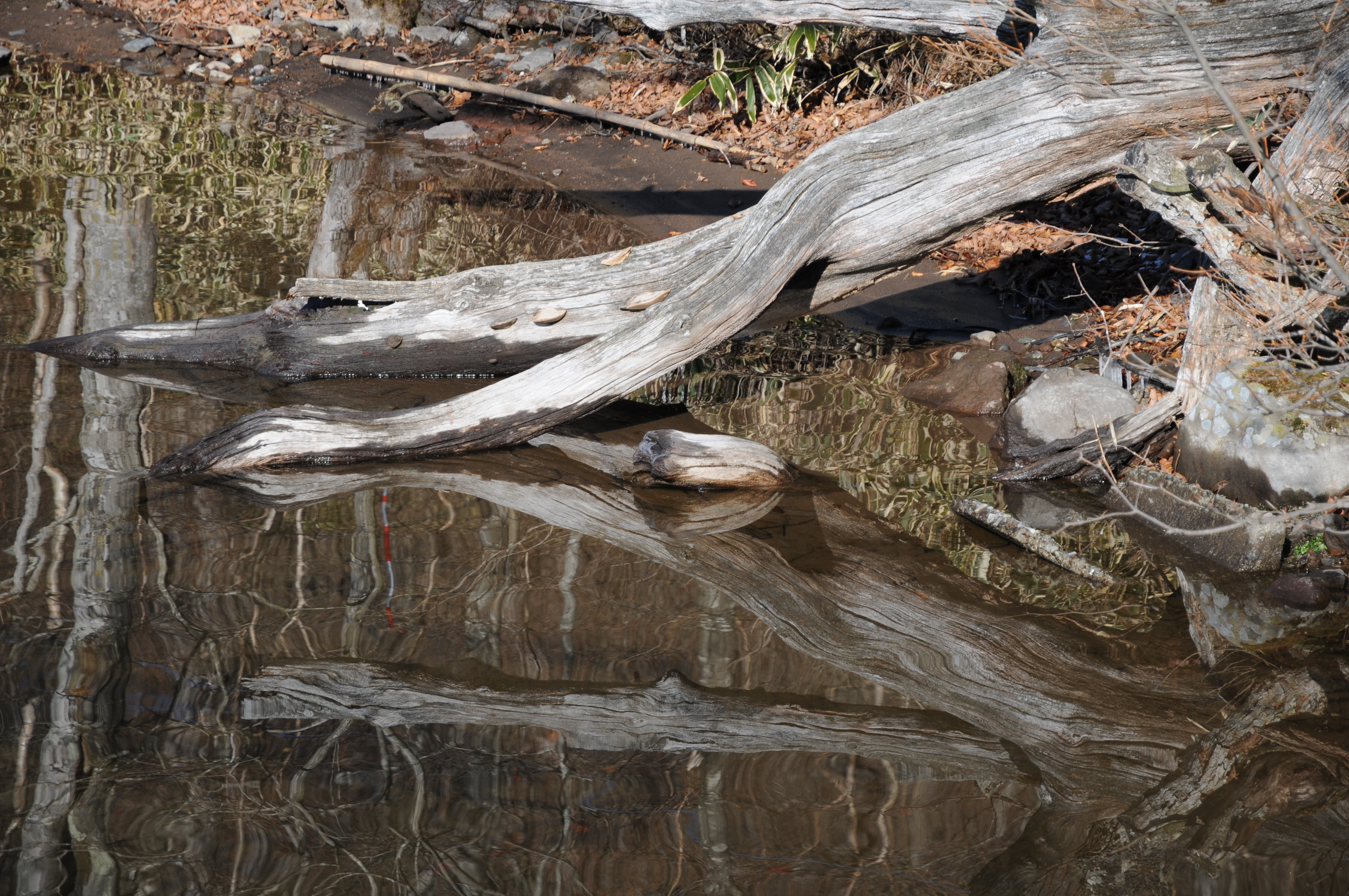 <b>4,288×2,848 / 1/640秒 / F5.6 / 0EV / ISO200 / 絞り優先AE / WB:オート / 85mm</b>