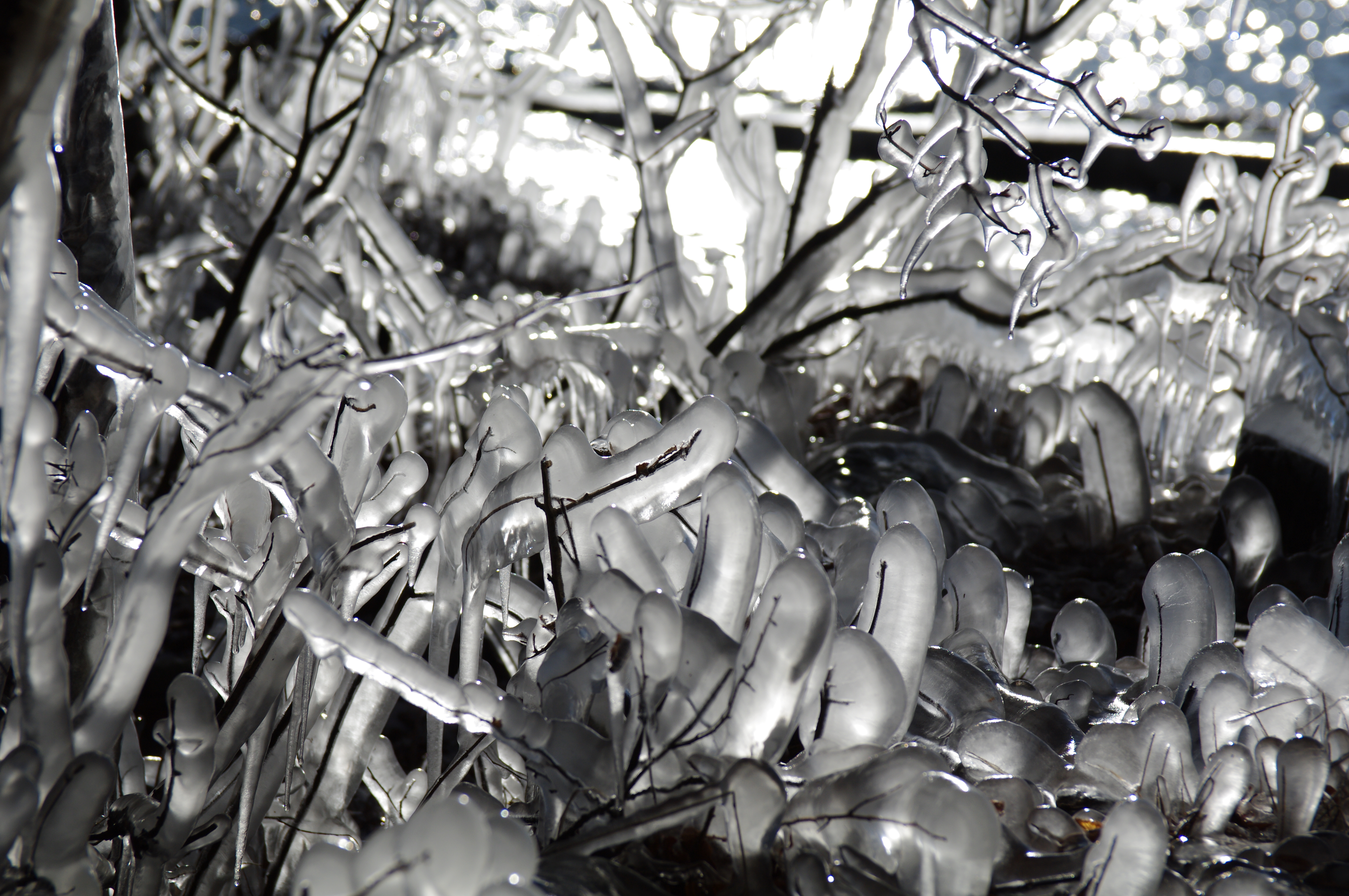 <b>4,672×3,104 / 1/1250秒 / F5.6 / 0EV / ISO100 / 絞り優先AE / WB:オート / 70mm</b>