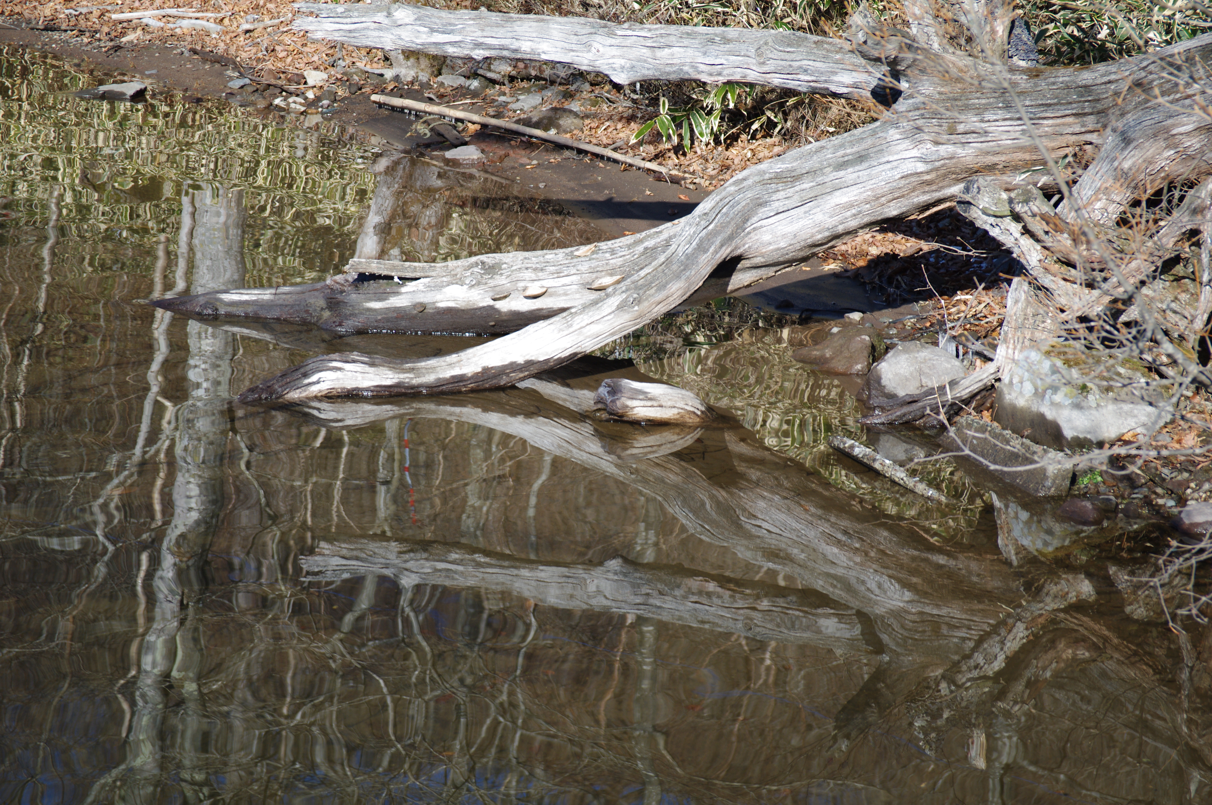 <b>4,672×3,104 / 1/320秒 / F4 / 0EV / ISO100 / 絞り優先AE / WB:オート / 70mm</b>