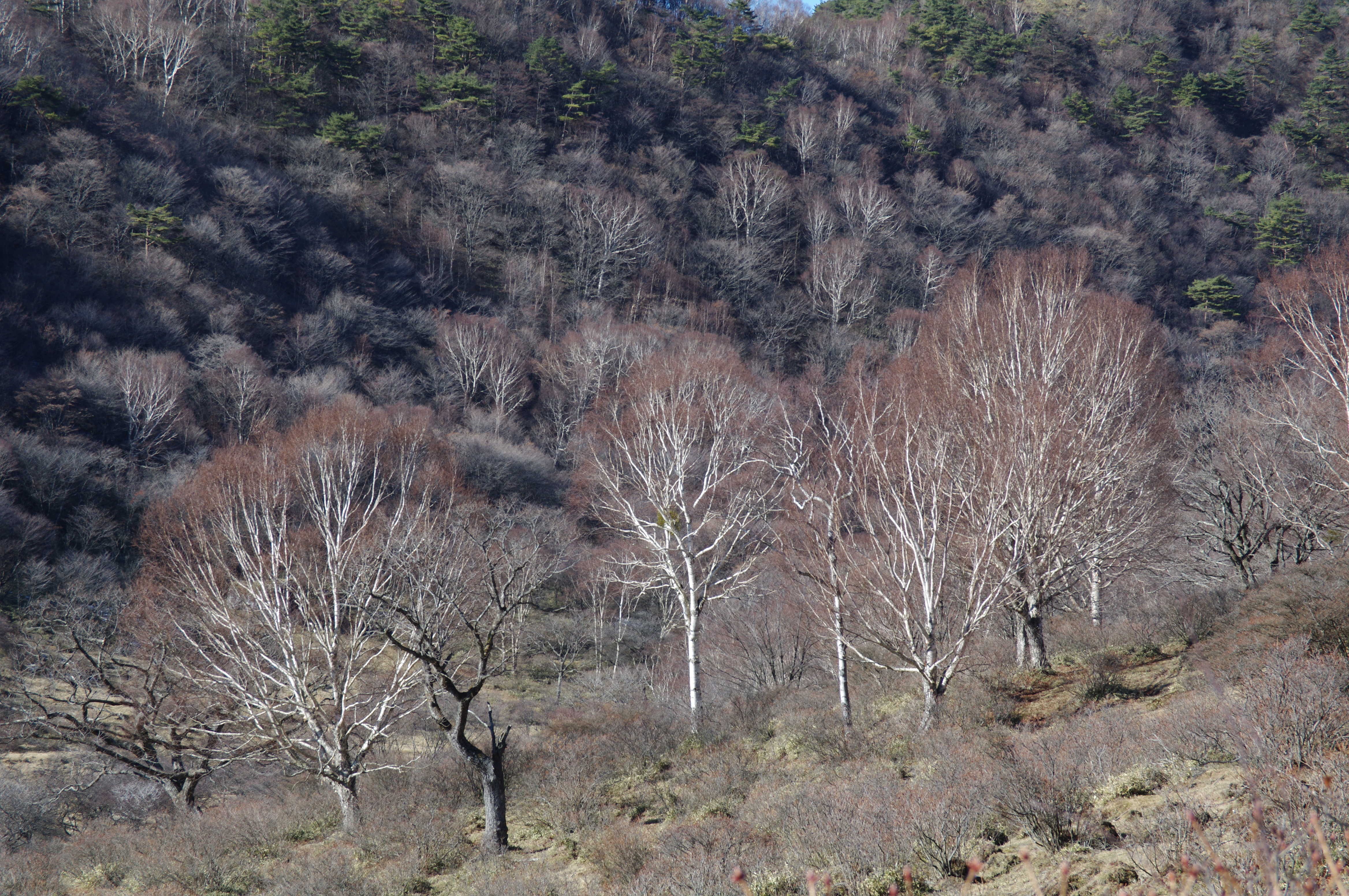 <b>4,672×3,104 / 1/100秒 / F8 / 0EV / ISO100 / 絞り優先AE / WB:オート / 70mm</b>