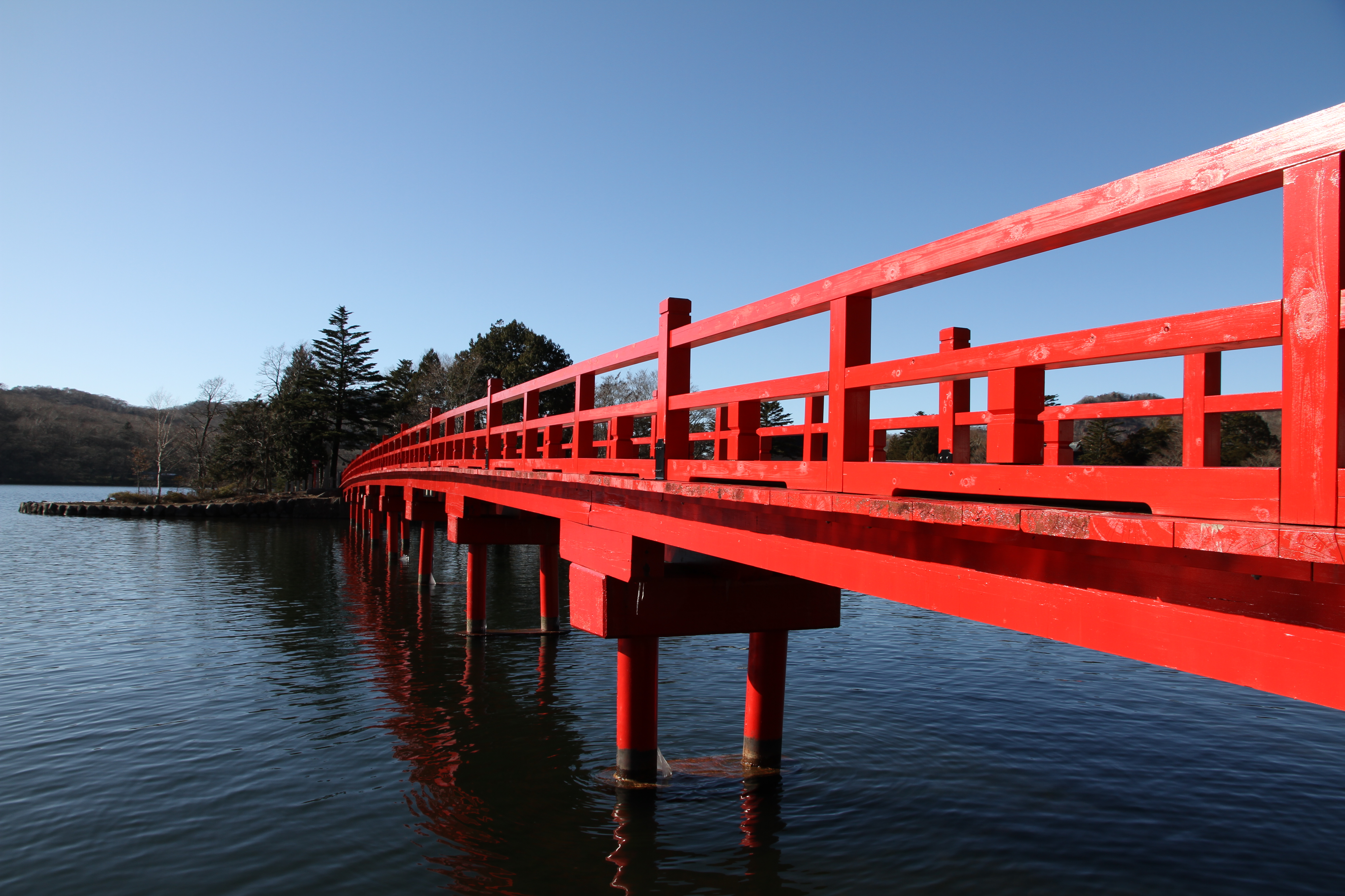 <b>スタンダード</b>