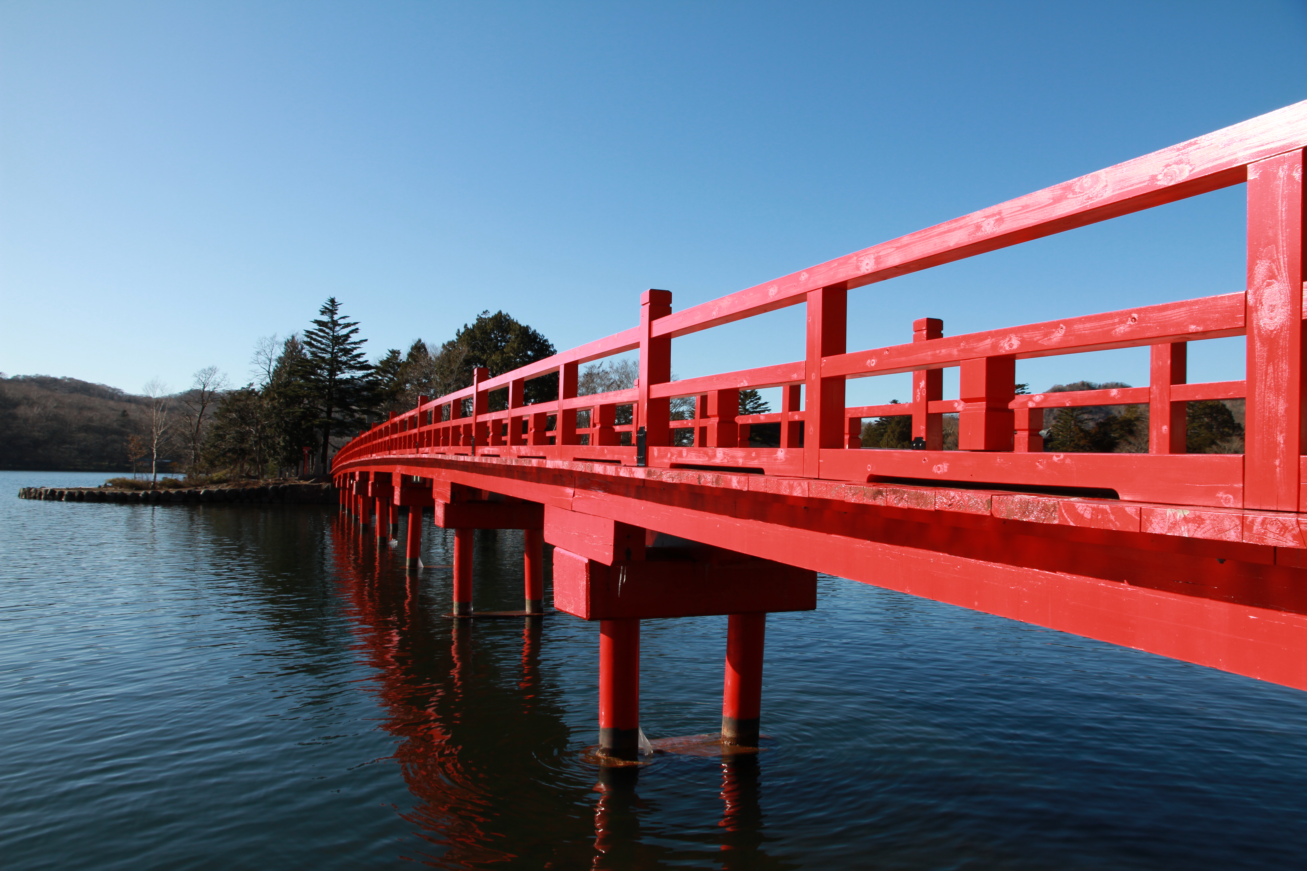 <b>ポートレート</b>