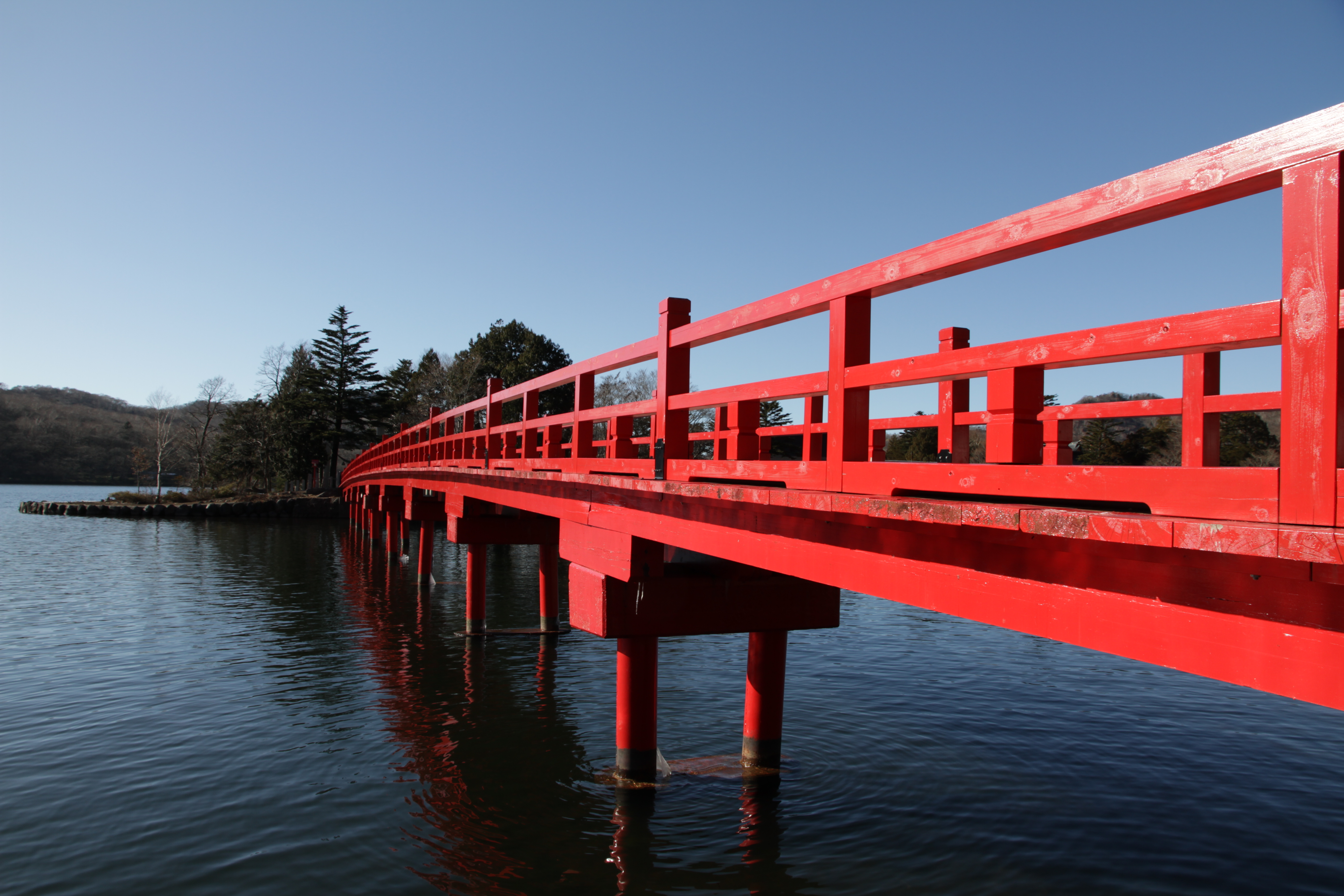 <b>ニュートラル</b>