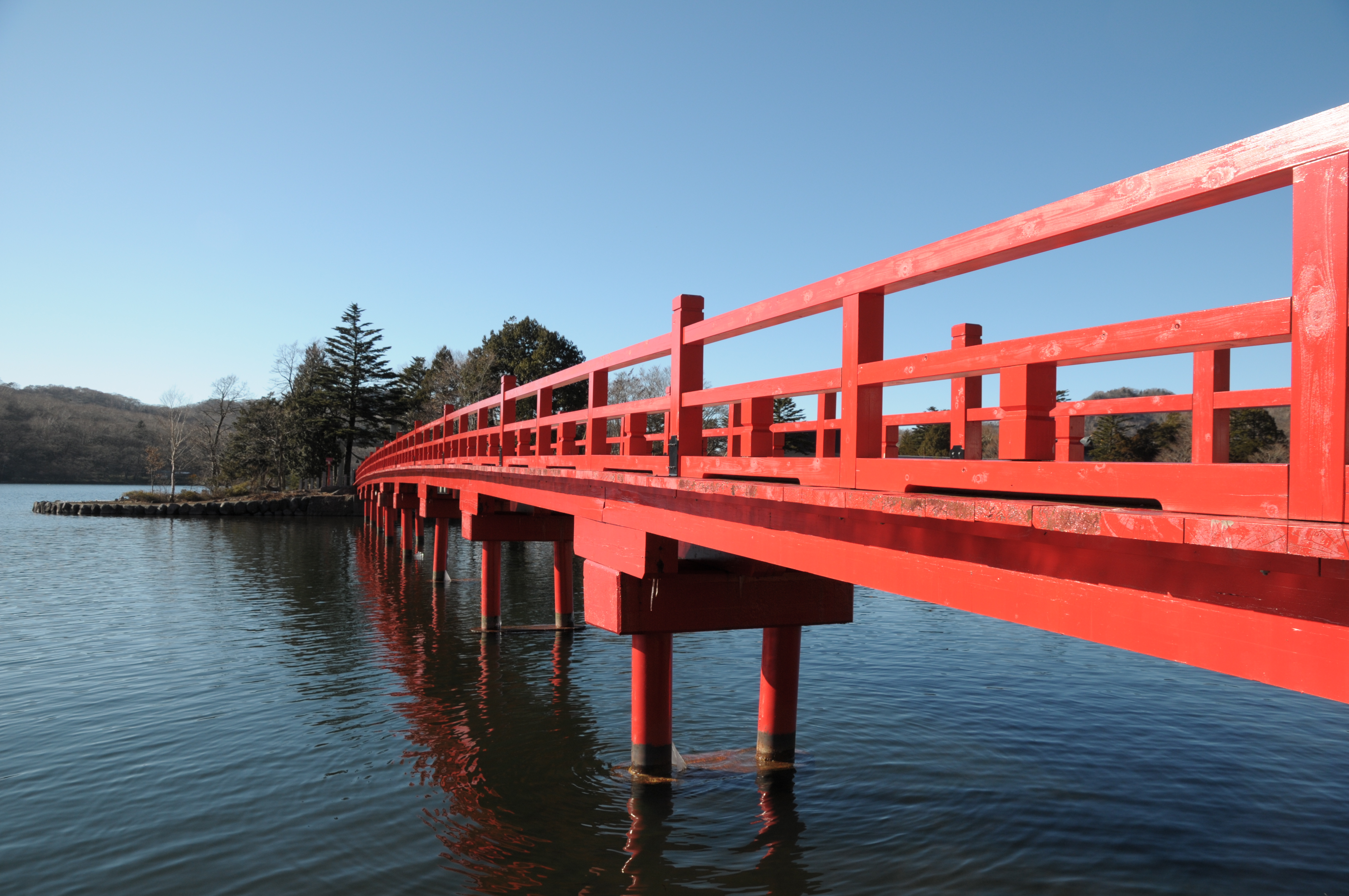 <b>ニュートラル</b>