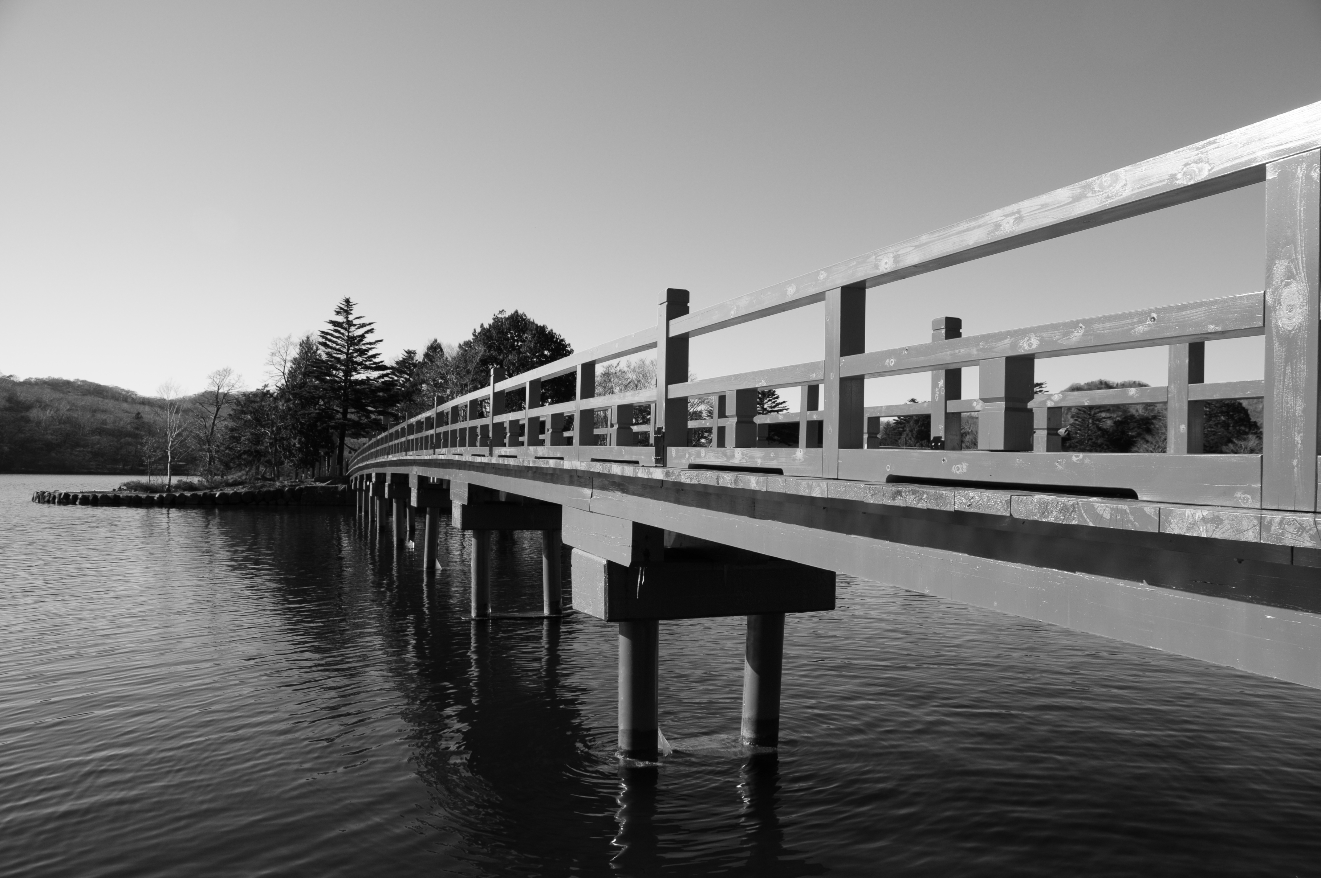 <b>モノクローム</b>