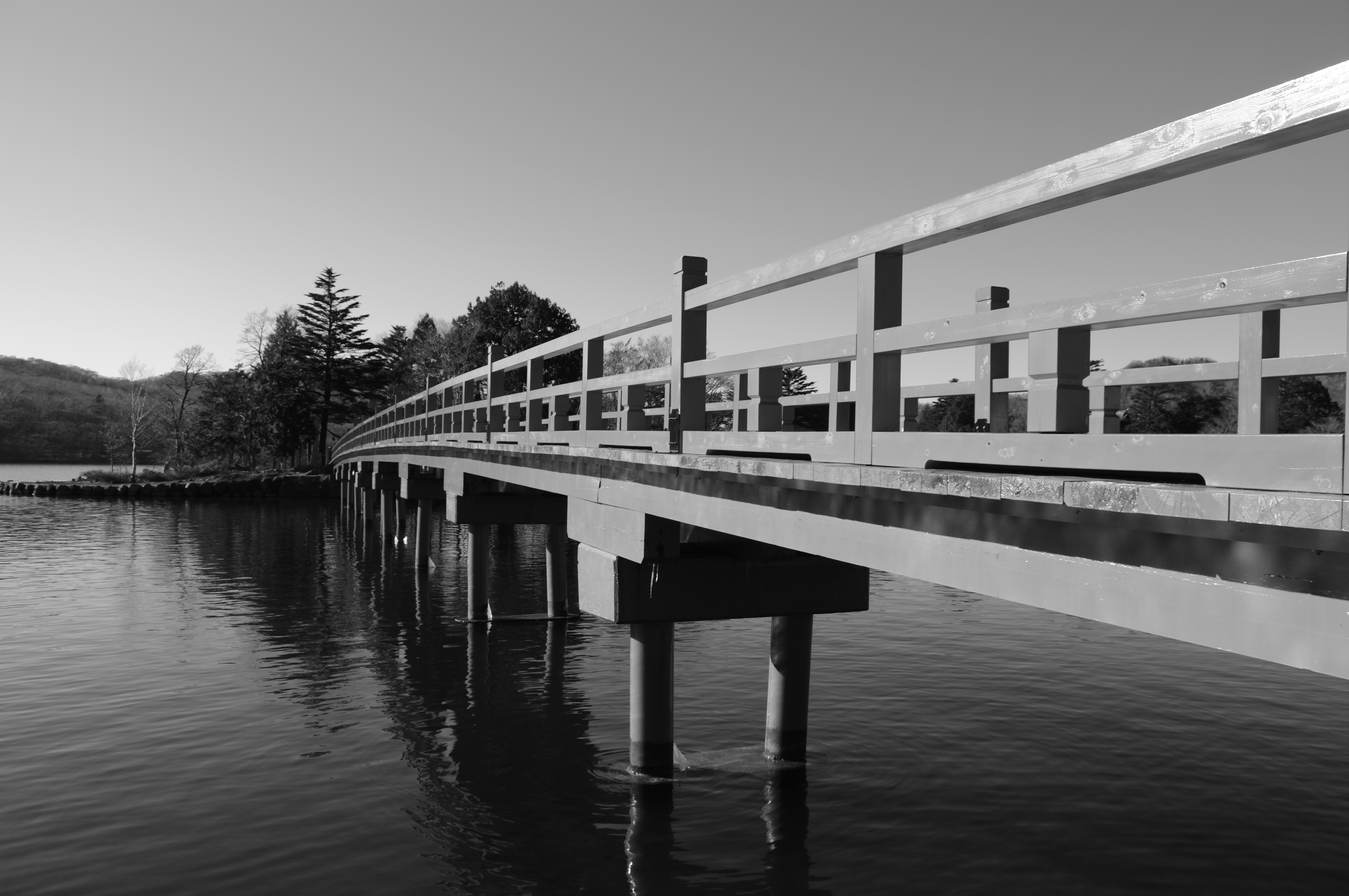 <b>モノトーン</b>