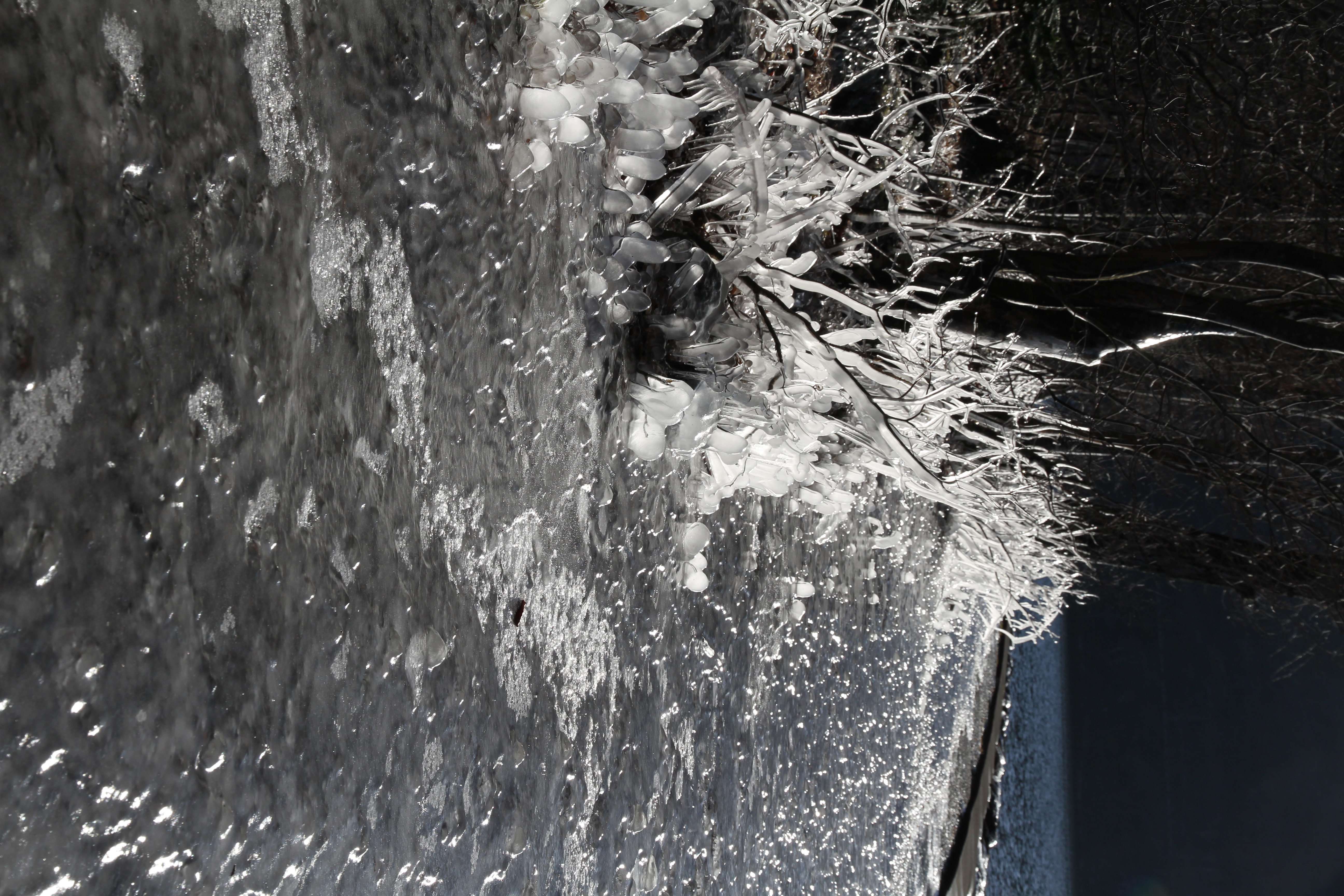 <b>オートライティングオプティマイザ：標準</b>