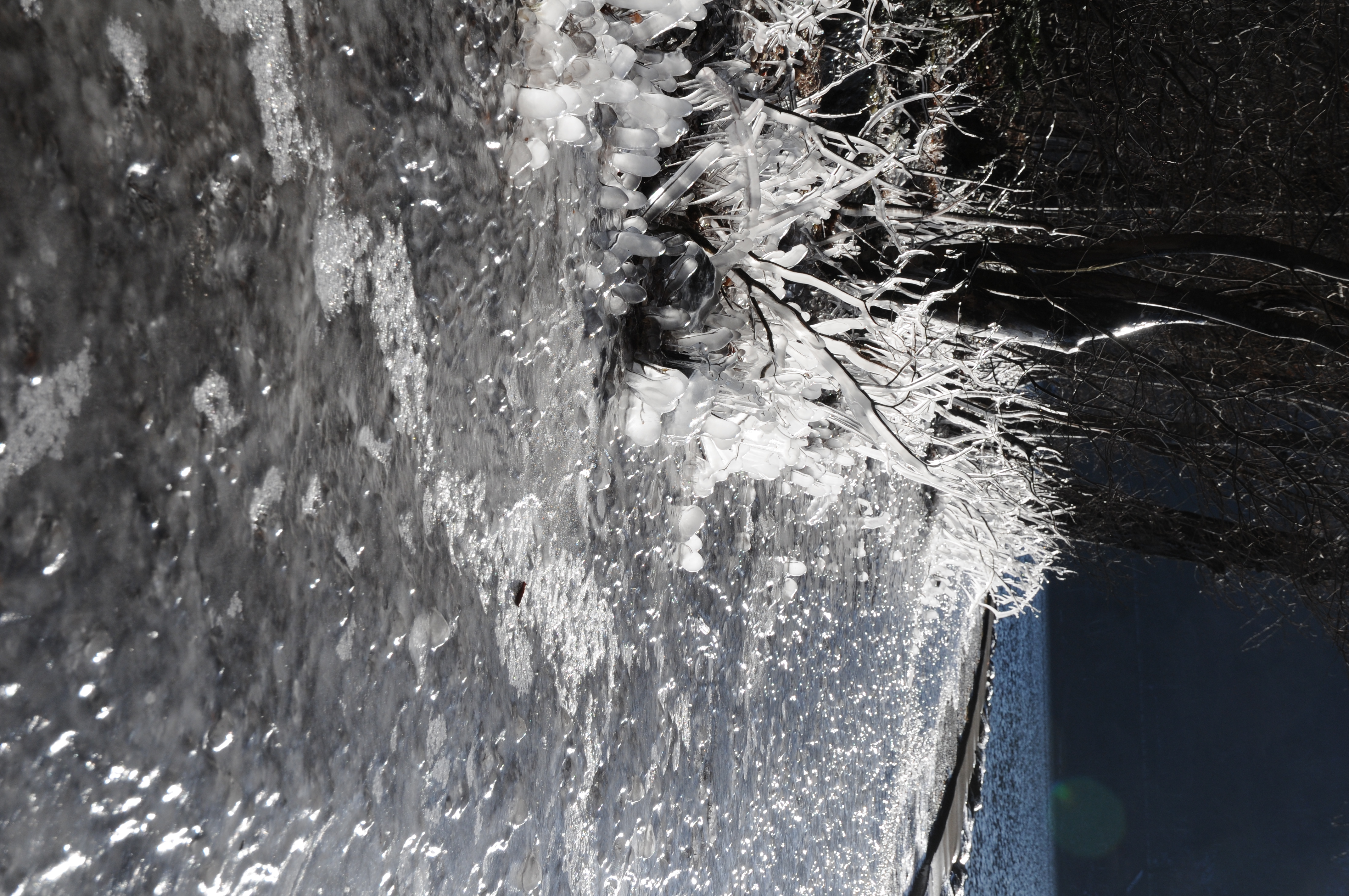 <b>アクティブD-ライティング：しない</b>