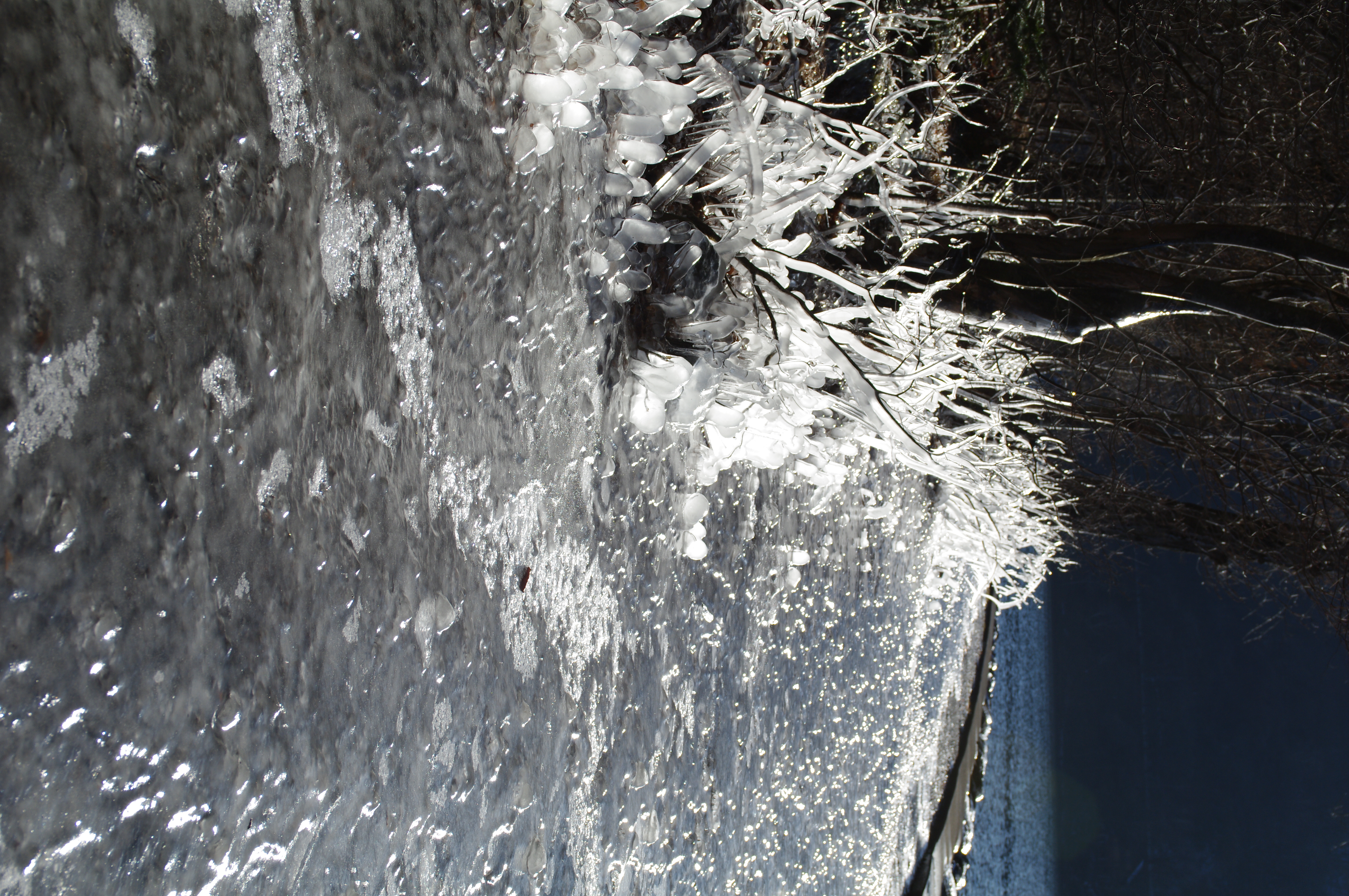 <b>ハイライト補正：しない、シャドー補正：しない</b>