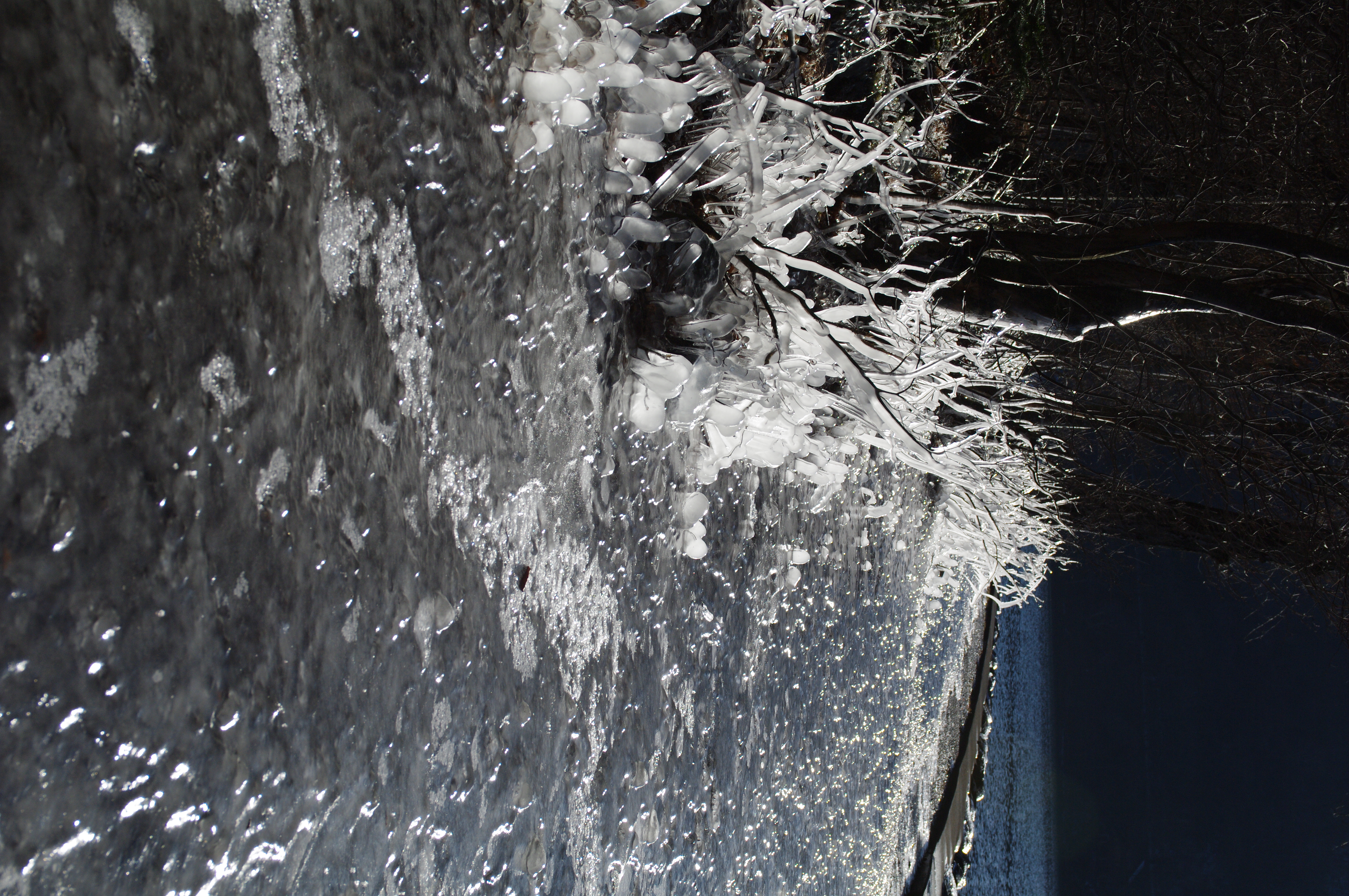 <b>ハイライト補正：する、シャドー補正：しない</b>