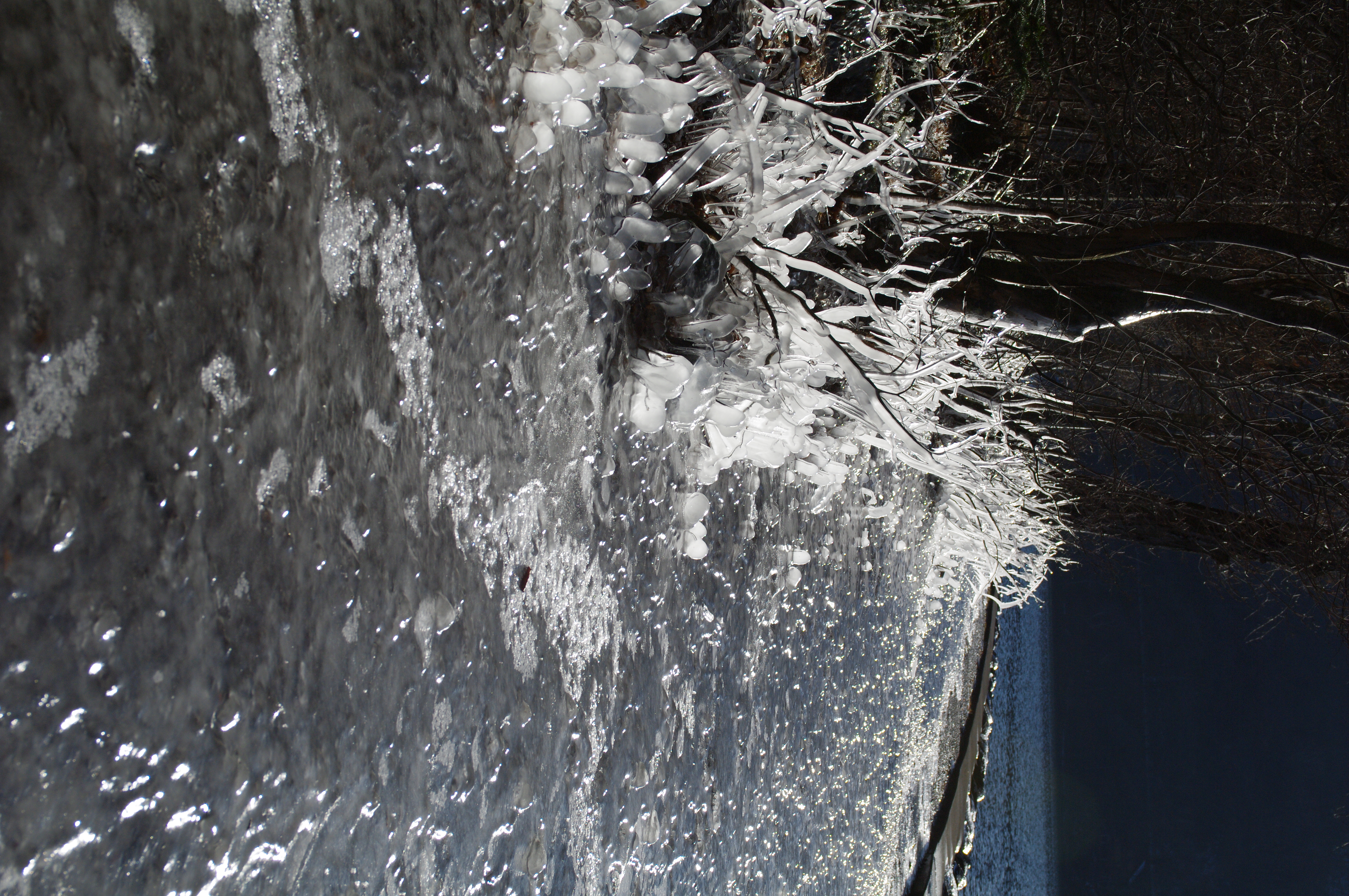 <b>ハイライト補正：する、シャドー補正：弱</b>