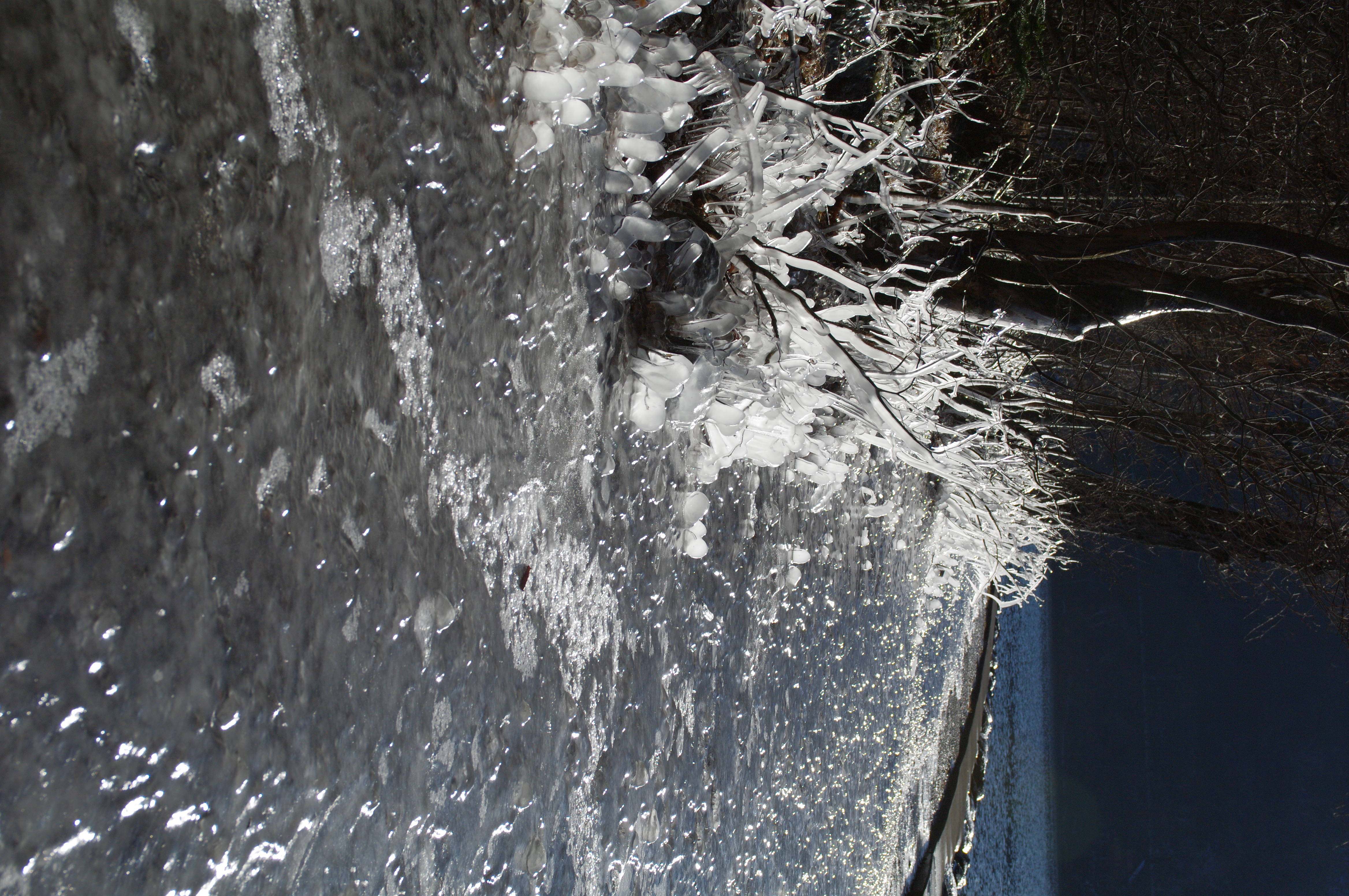 <b>ハイライト補正：する、シャドー補正：中</b>