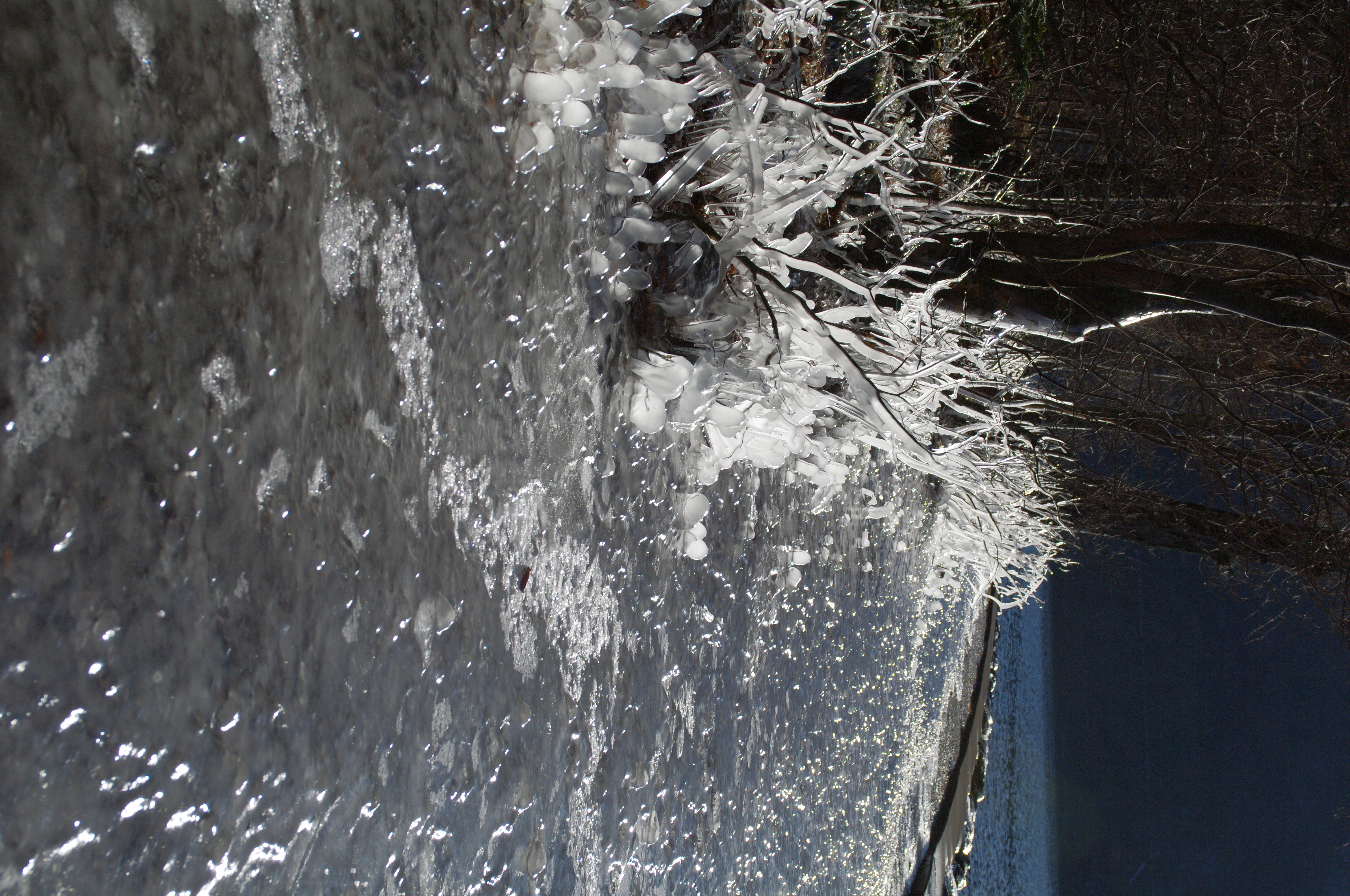 <b>ハイライト補正：する、シャドー補正：強</b>