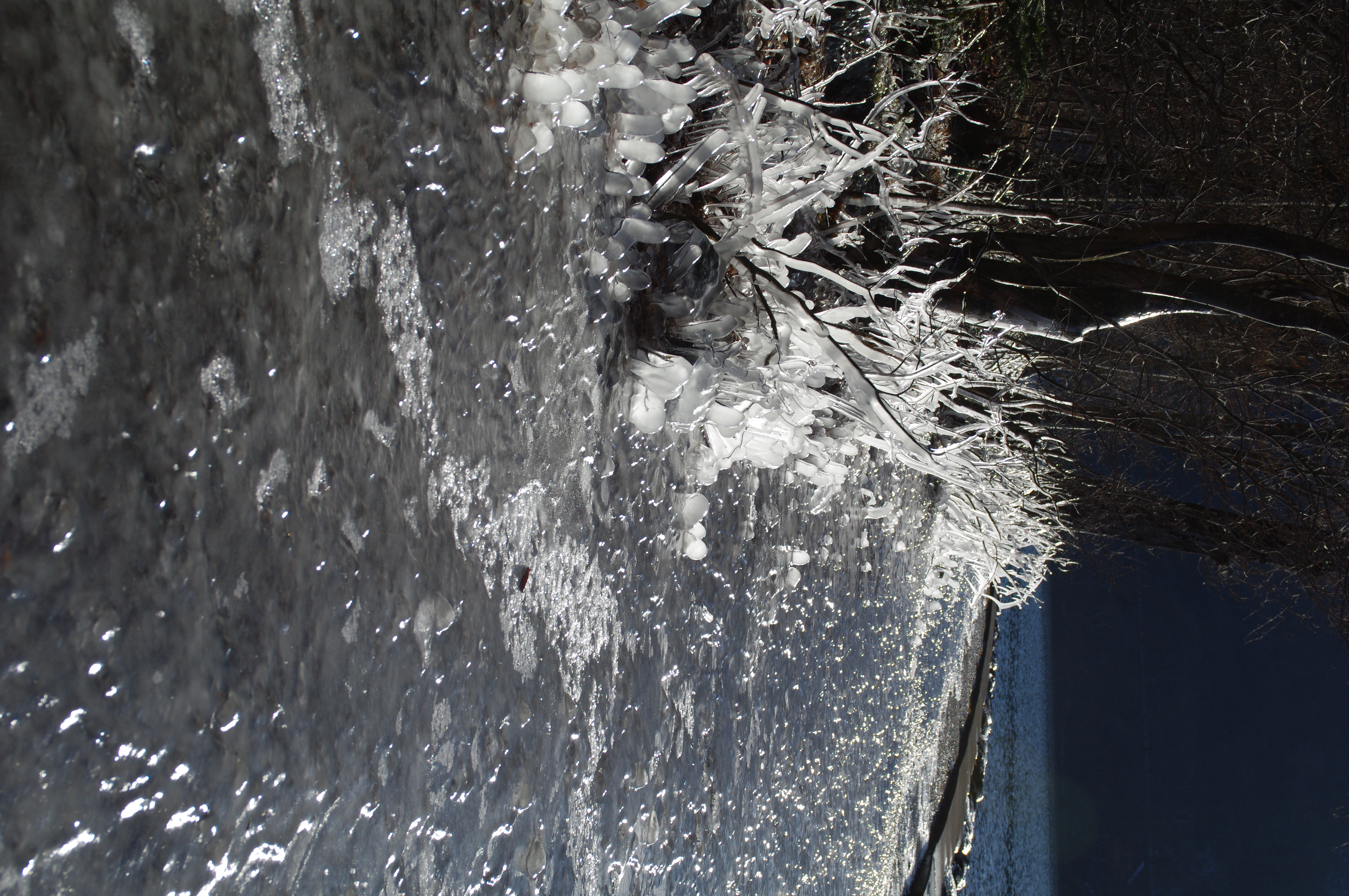 <b>ハイライト補正：しない、シャドー補正：中</b>