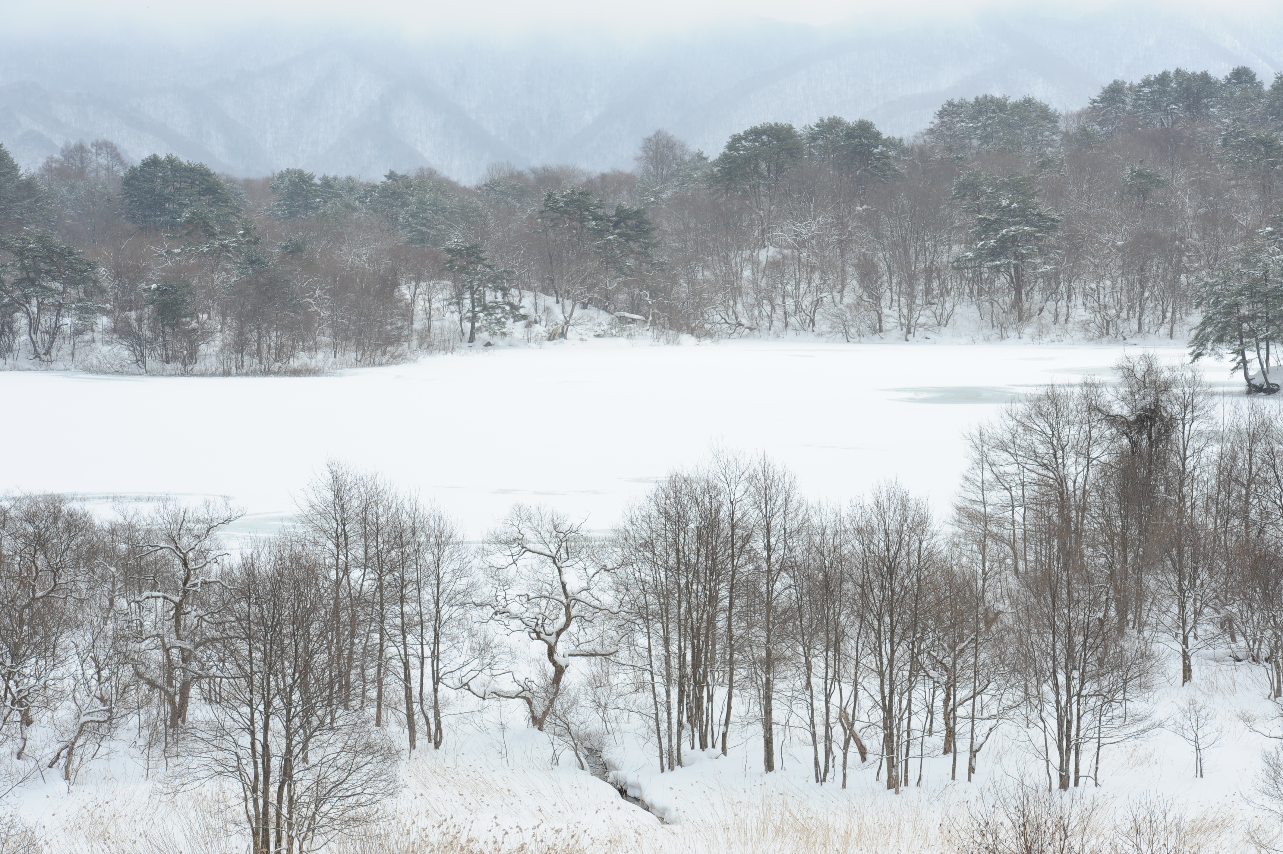 <b>カメラを水平にして撮った例<br>D700 / AF-S NIKKOR 70-200mm F2.8 G ED VR II / 約4.6MB / 4,256×2,832 / 1/320秒 / F8 / +1EV / ISO200 / WB:晴天 / 102mm</b>