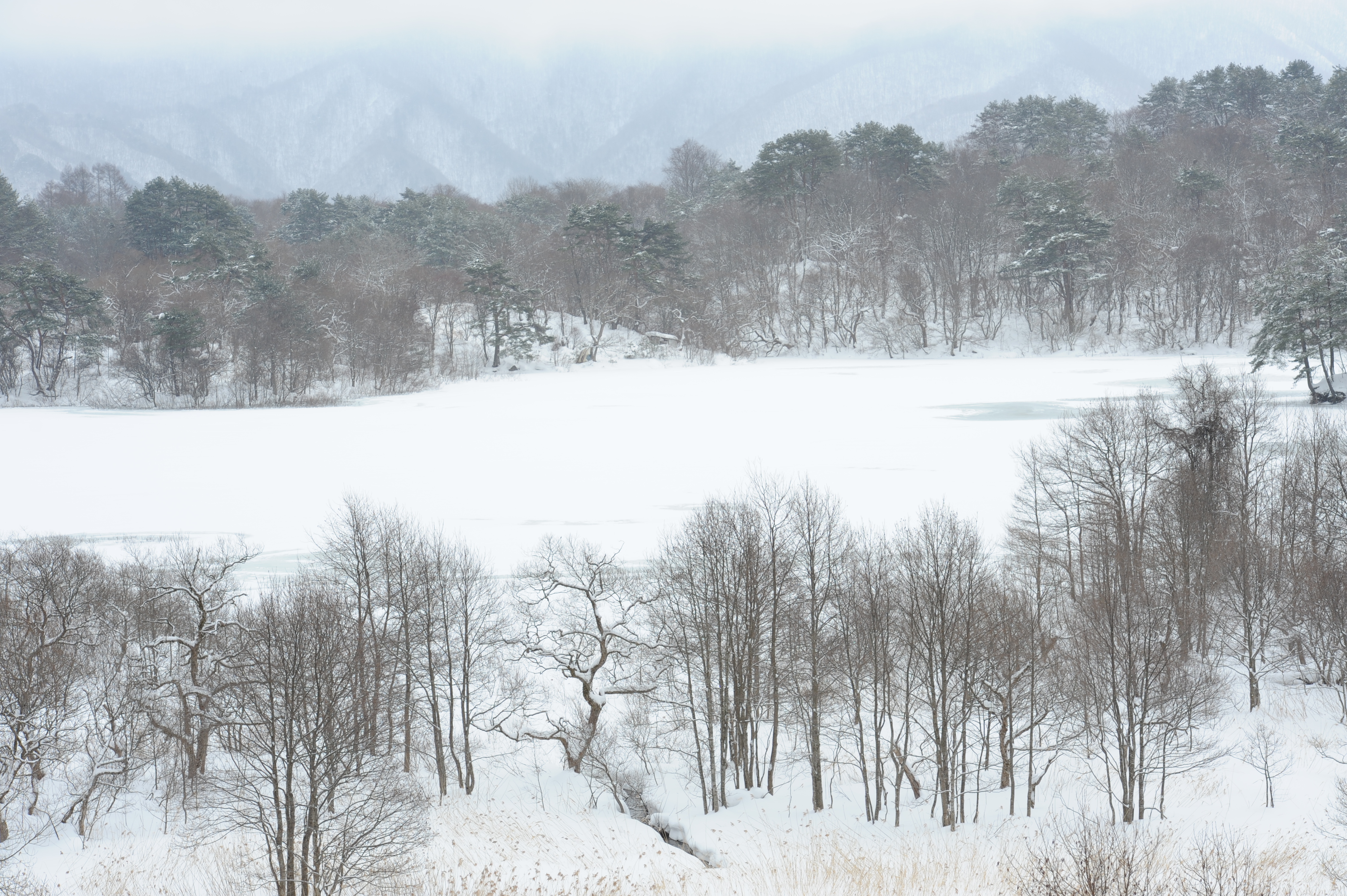 <b>少し傾いてしまった例<br>D700 / AF-S NIKKOR 70-200mm F2.8 G ED VR II / 約4.6MB / 4,256×2,832 / 1/320秒 / F8 / +1EV / ISO200 / WB:晴天 / 102mm</b>