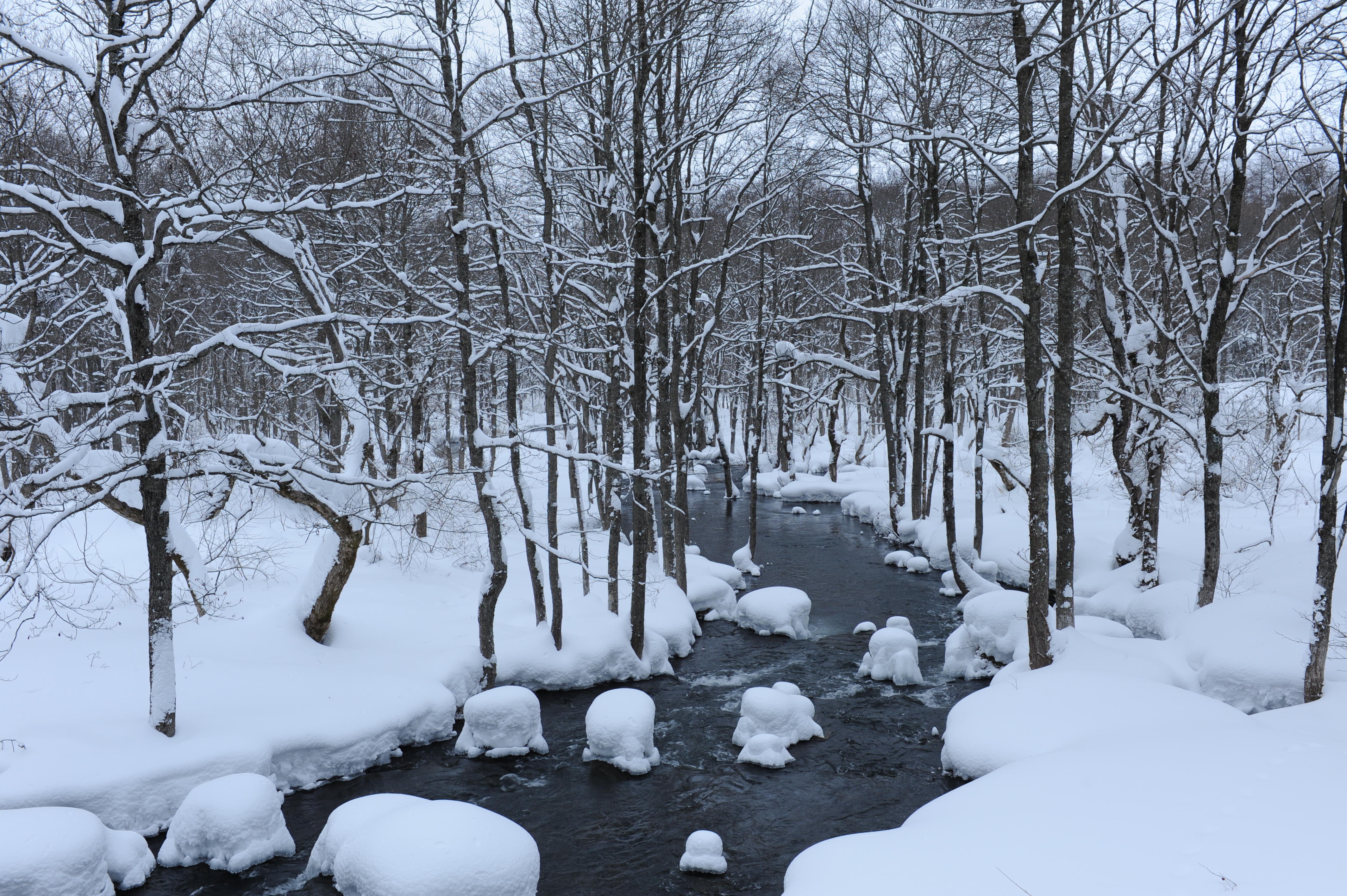<b>ライブビューで構図の隅々まで確認して撮影<br>D700 / AF-S NIKKOR 24-70mm F2.8 G ED / 約8.7MB / 4,256×2,832 / 1/30秒 / F8 / -0.3EV / ISO200 / WB:晴天 / 35mm</b>