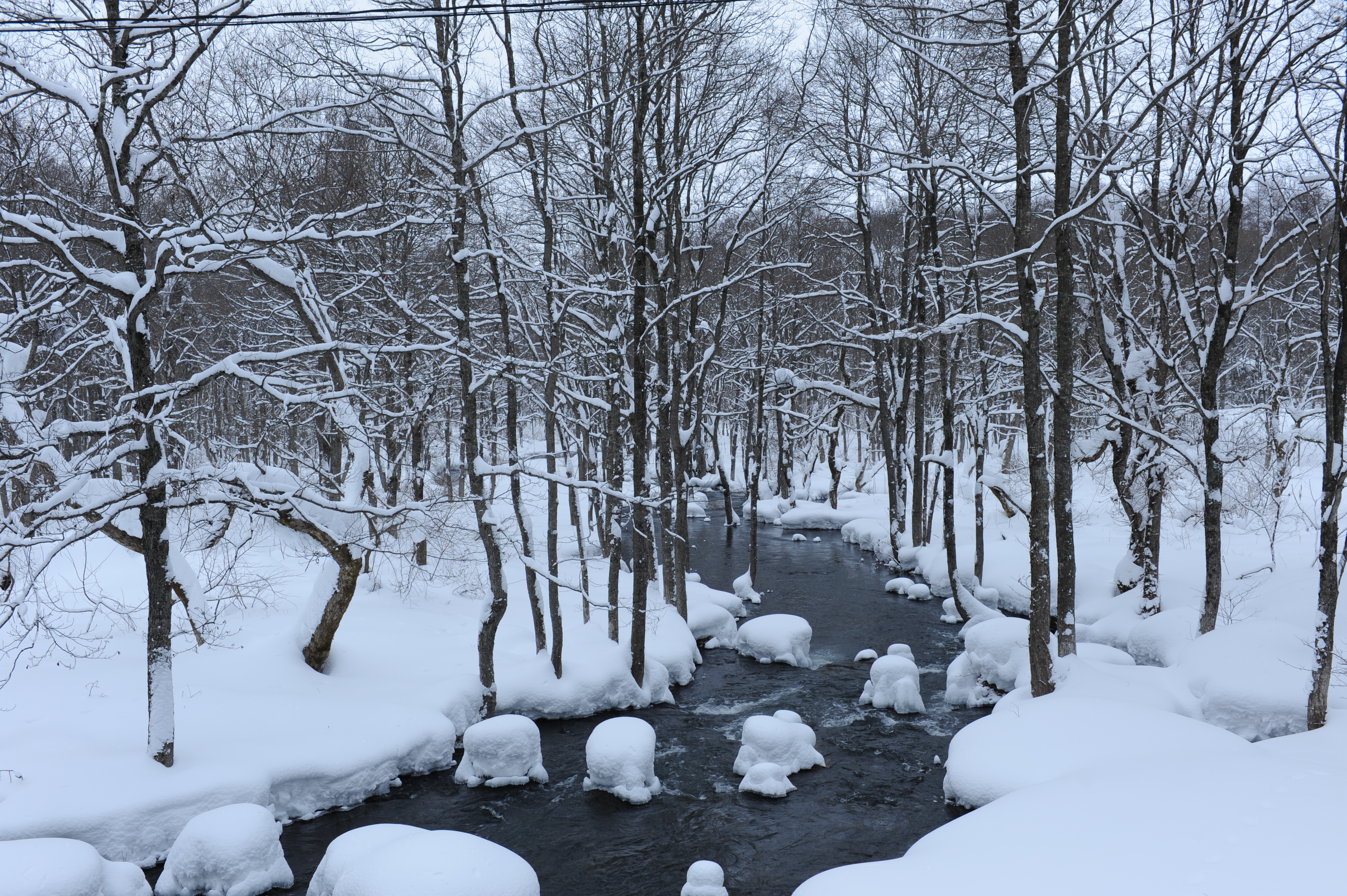 <b>余計なもの（画面上の電線）が写り込んでしまった例<br>D700 / AF-S NIKKOR 24-70mm F2.8 G ED / 約8.7MB / 4,256×2,832 / 1/30秒 / F8 / -0.3EV / ISO200 / WB:晴天 / 35mm</b>