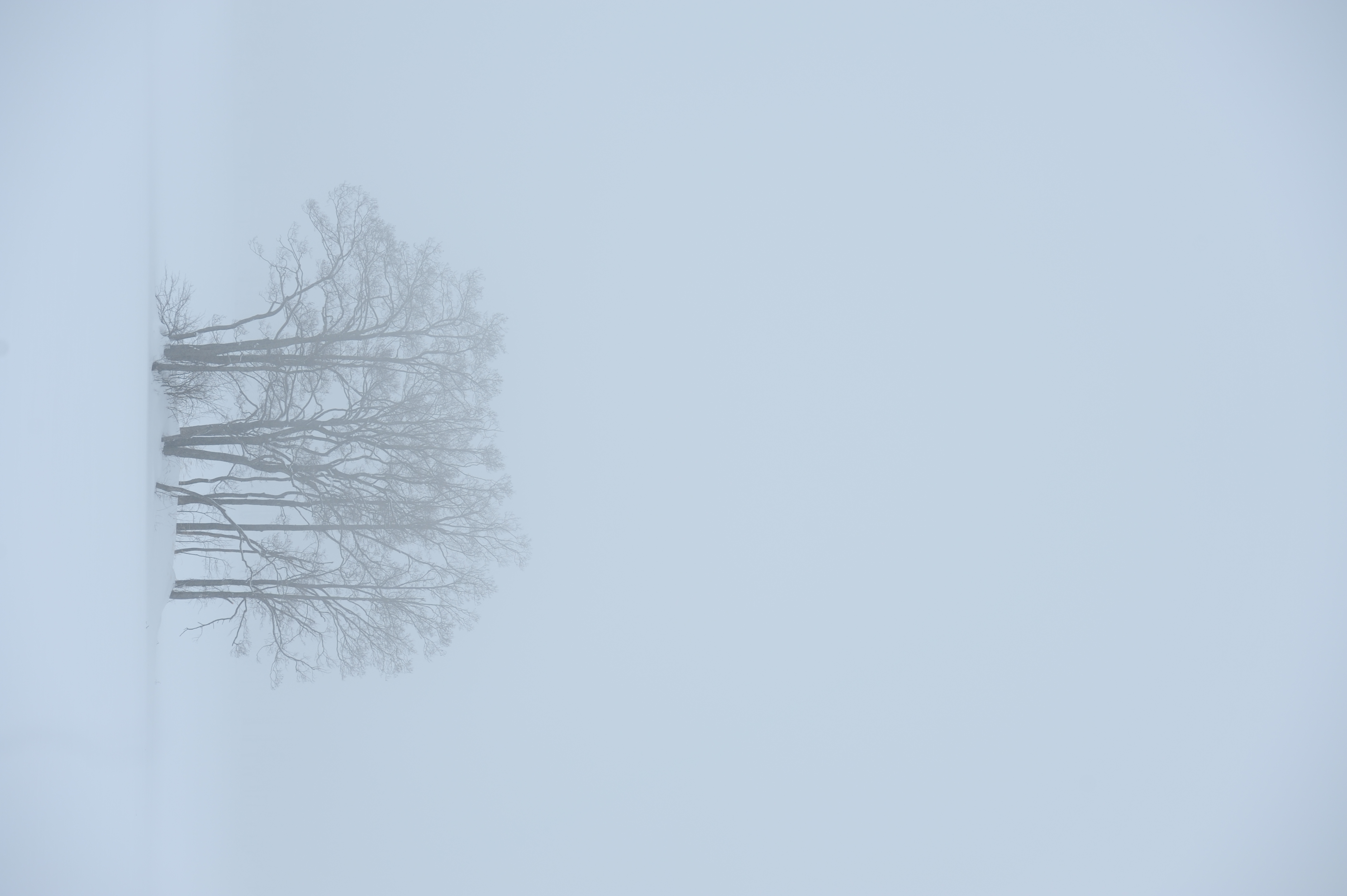 <b>今度は吹雪き過ぎでメインの被写体がかすみ過ぎ<br>D700 / AF-S NIKKOR 70-200mm F2.8 G ED VR II / 約2.3MB / 2,832×4,256 / 1/200秒 / F5.6 / +1EV / ISO200 / WB:晴天 / 130mm</b>