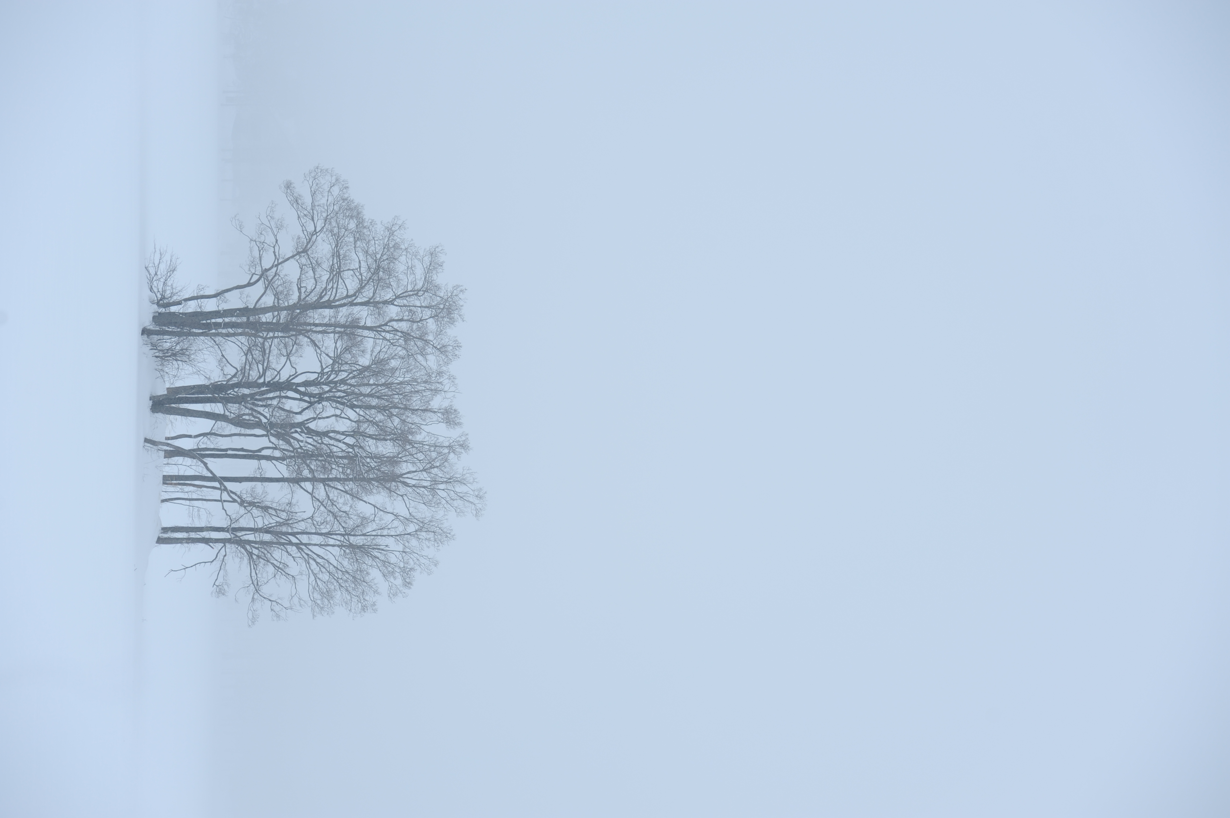 <b>三脚にカメラをつけたまま粘った結果、自分の理想に近い状態で撮影できた<br>D700 / AF-S NIKKOR 70-200mm F2.8 G ED VR II / 約2.5MB / 2,832×4,256 / 1/160秒 / F5.6 / +1EV / ISO200 / WB:カスタム（5,000K） / 130mm</b>