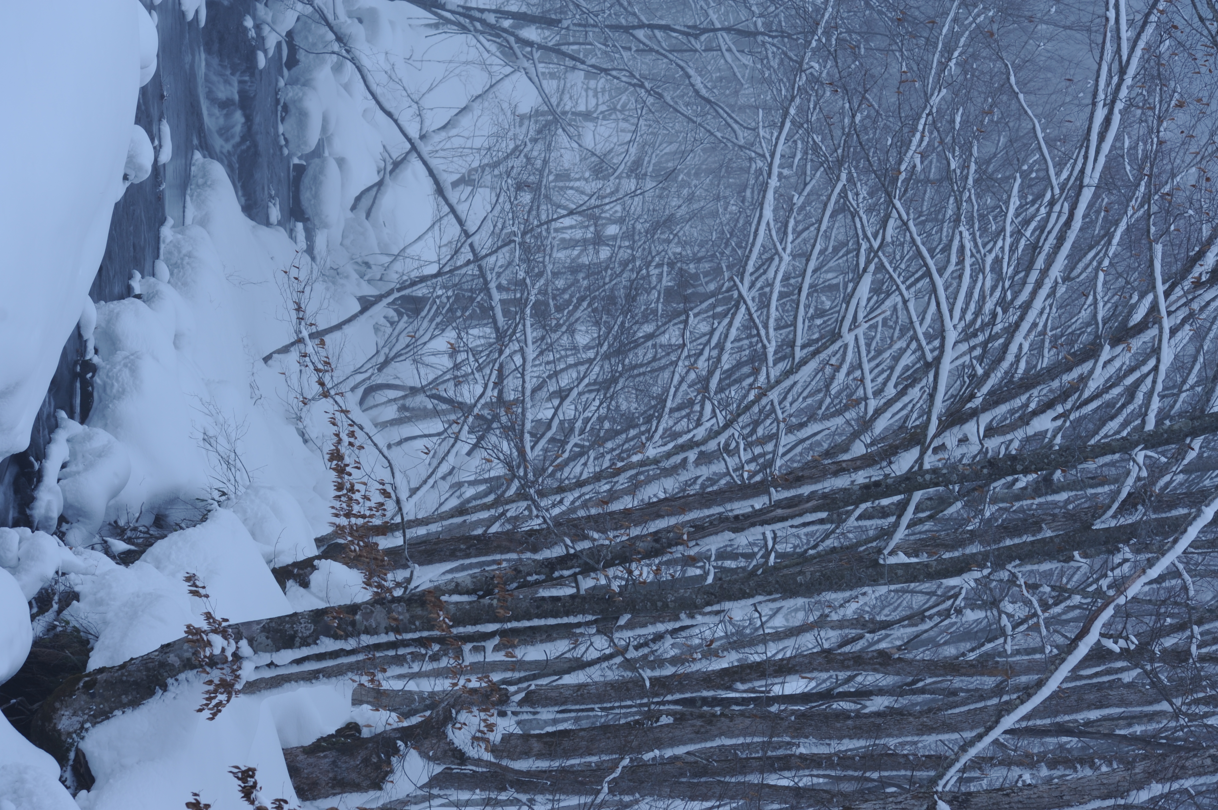 <b>ベース感度のISO200で撮影。シャッター速度は1/4秒。もちろん三脚を使っている<br>D700 / AF-S NIKKOR 70-200mm F2.8 G ED VR II / 約6.2MB / 2,832×4,256 / 1/4秒 / F5.6 / -0.3EV / ISO200 / WB:曇天 / 82mm</b>