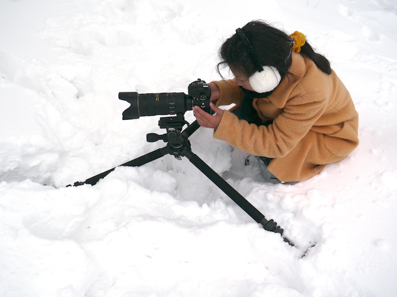 <b>ライブビュー+三脚はローアングルも便利。この状況で寝そべって撮る気は起きない</b>