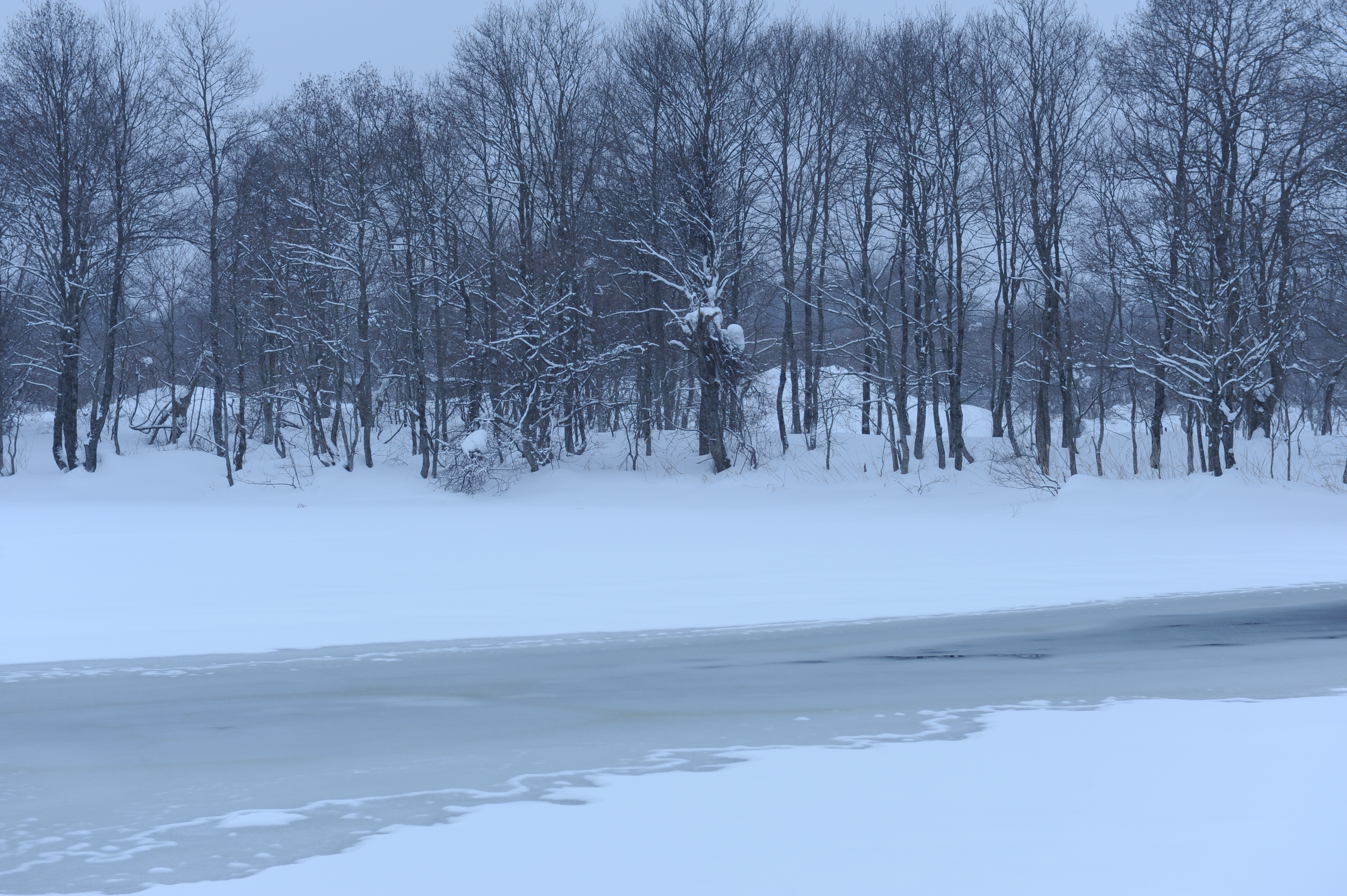 <b>D700 / AF-S NIKKOR 24-70mm F2.8 G ED / 約6.9MB / 4,256×2,832 / 1/80秒 / F8 / -0.7EV / ISO500 / WB:晴天 / 70mm</b>