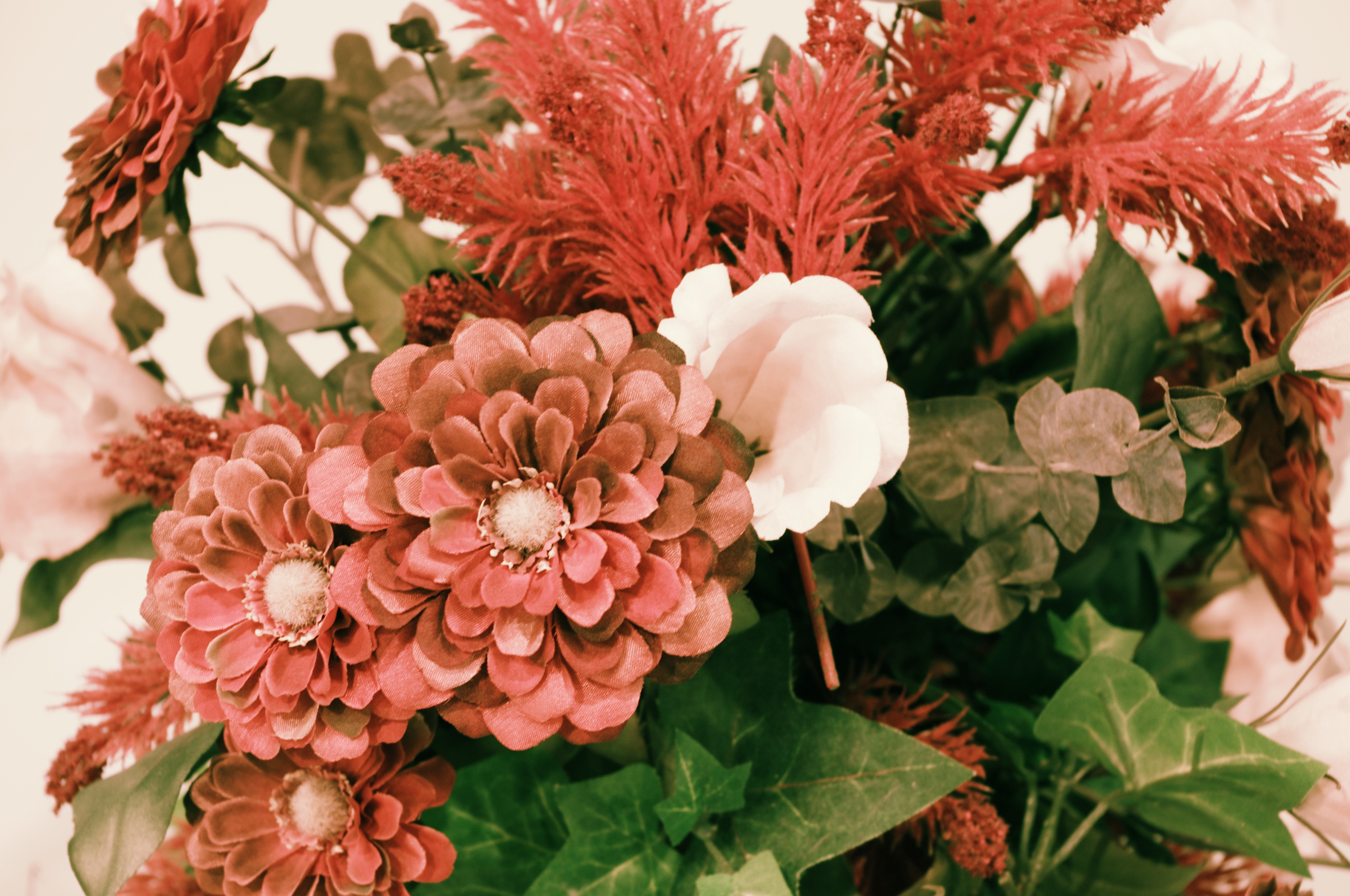 <b>クロスプロセスON（シャッフル）バージョン1.00</b>