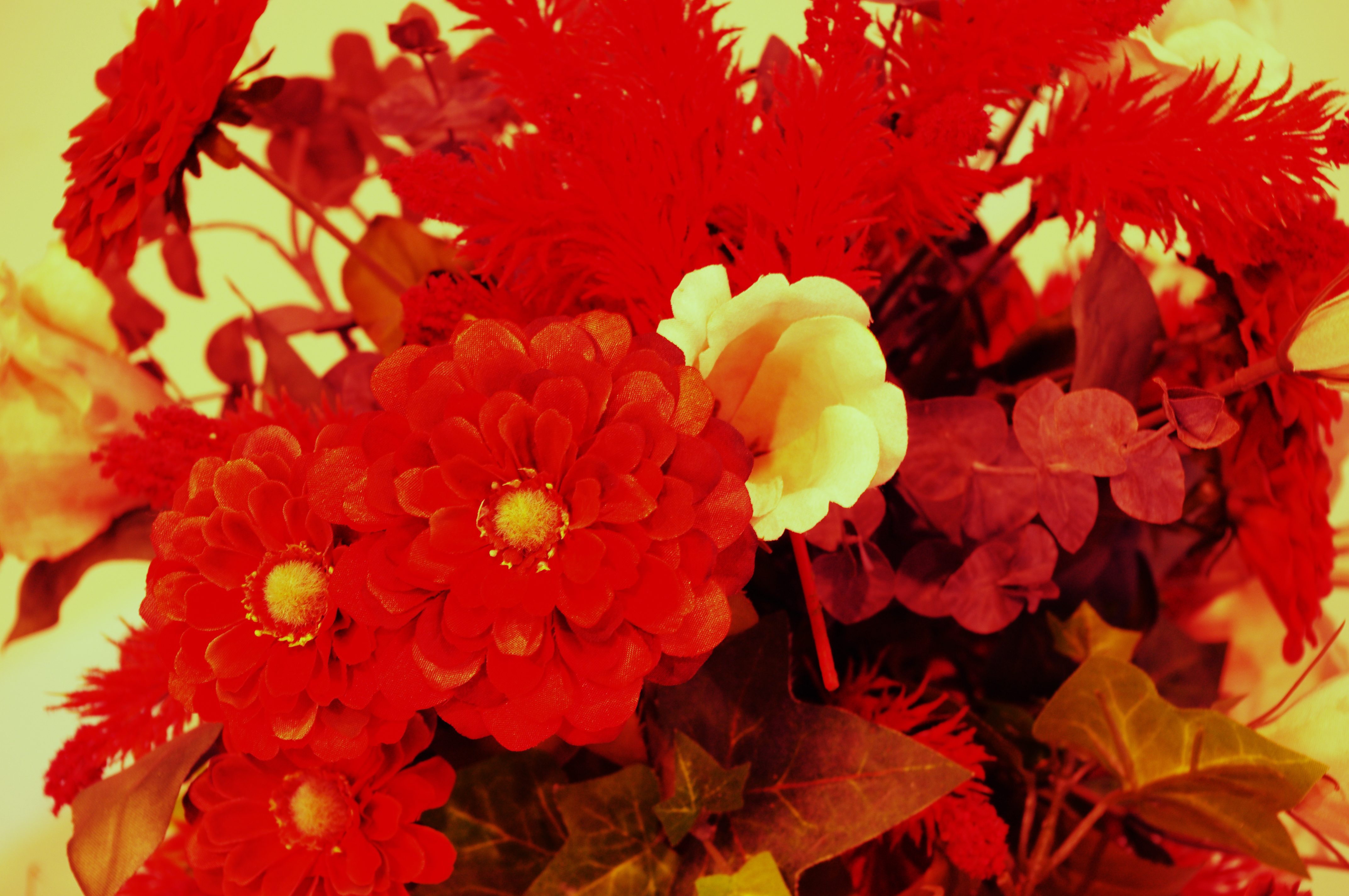 <b>クロスプロセスON（シャッフル）バージョン1.00</b>