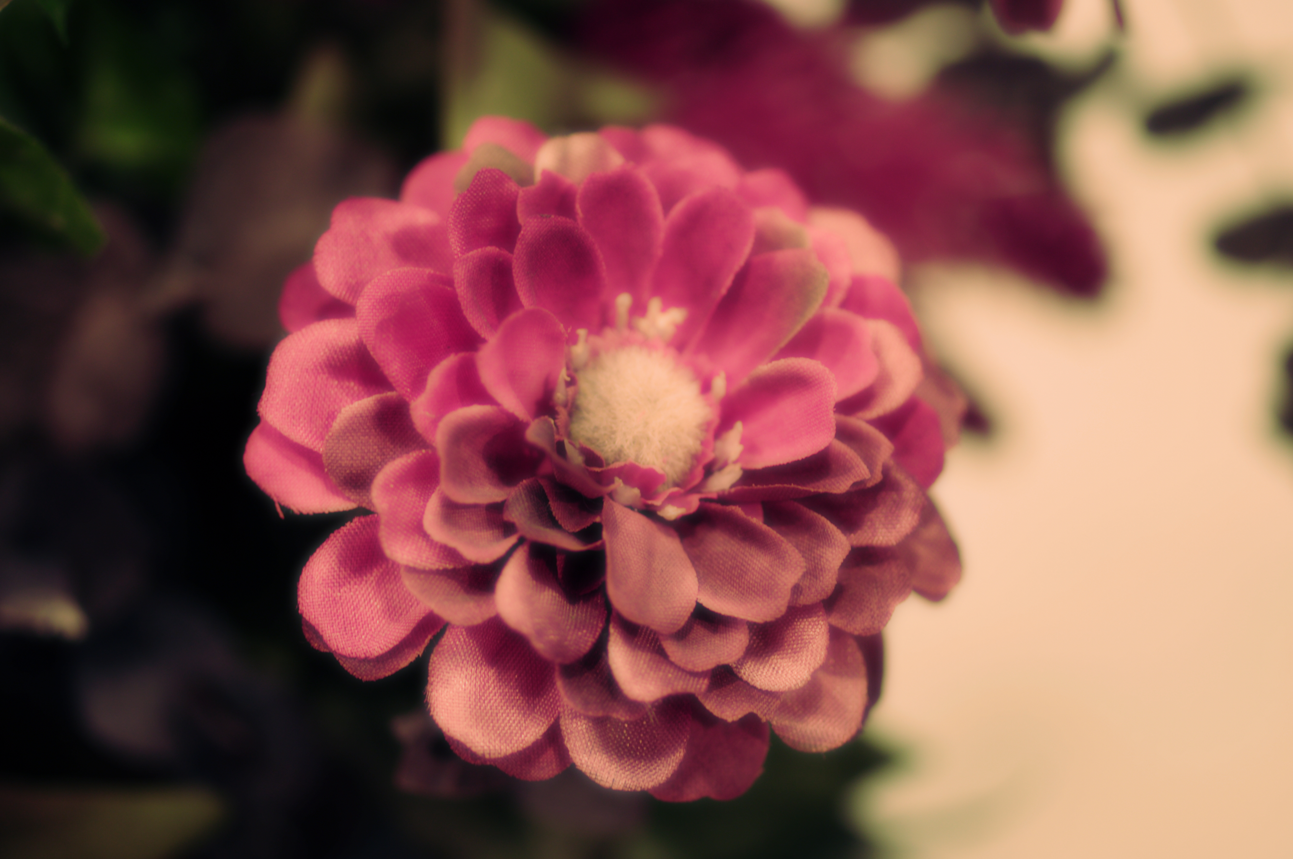 <b>デジタルフィルター：ソフト+クロスプロセス</b>