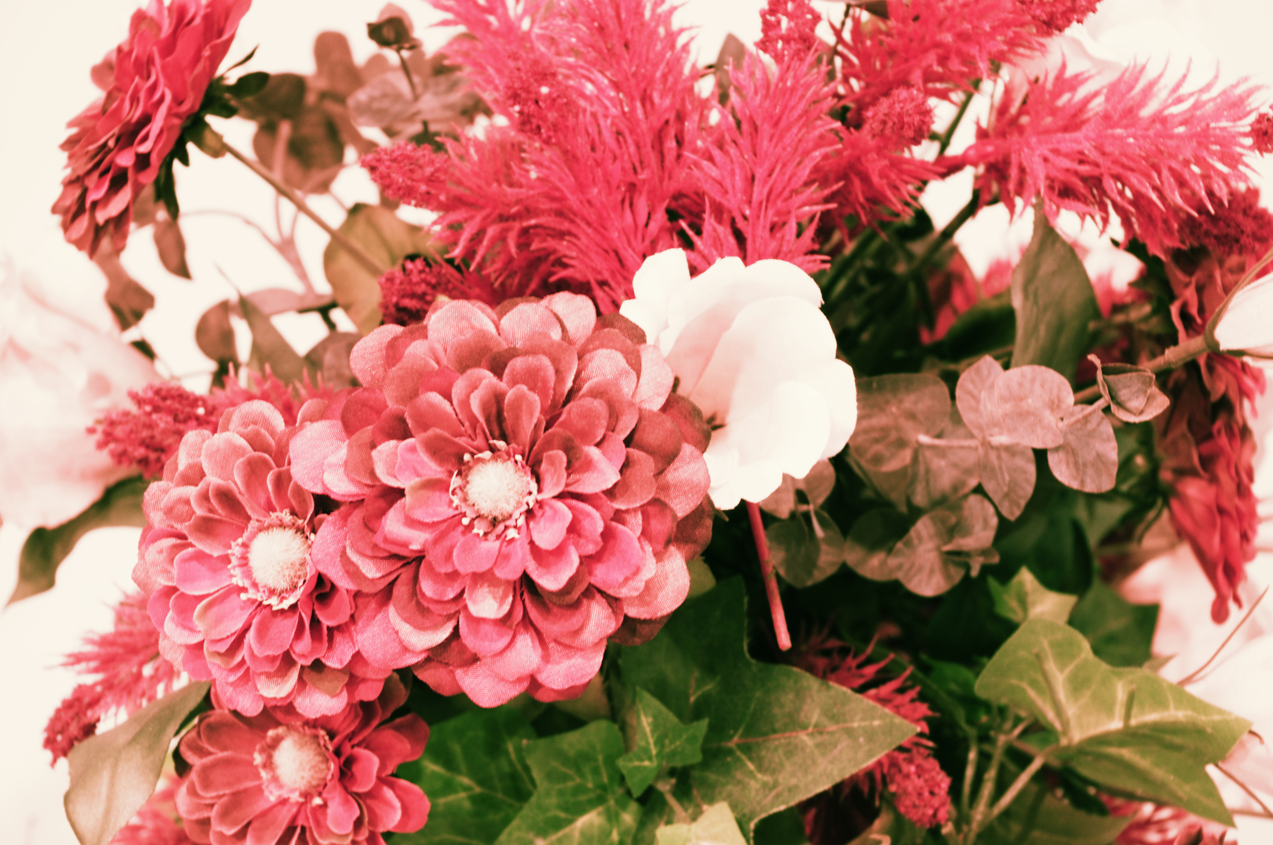 <b>クロスプロセスON（シャッフル）バージョン1.00</b>