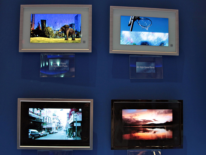 <b>将来的にはさまざまなタイプのフレームを検討している</b>