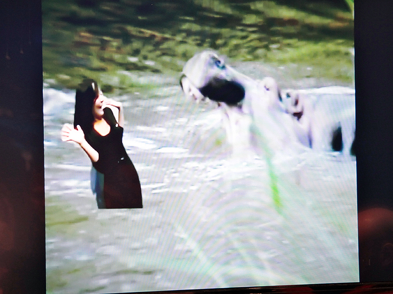 <b>EX-H15、 EX-Z2000、EX-Z550のダイナミックフォトは、背景も動くようになった</b>