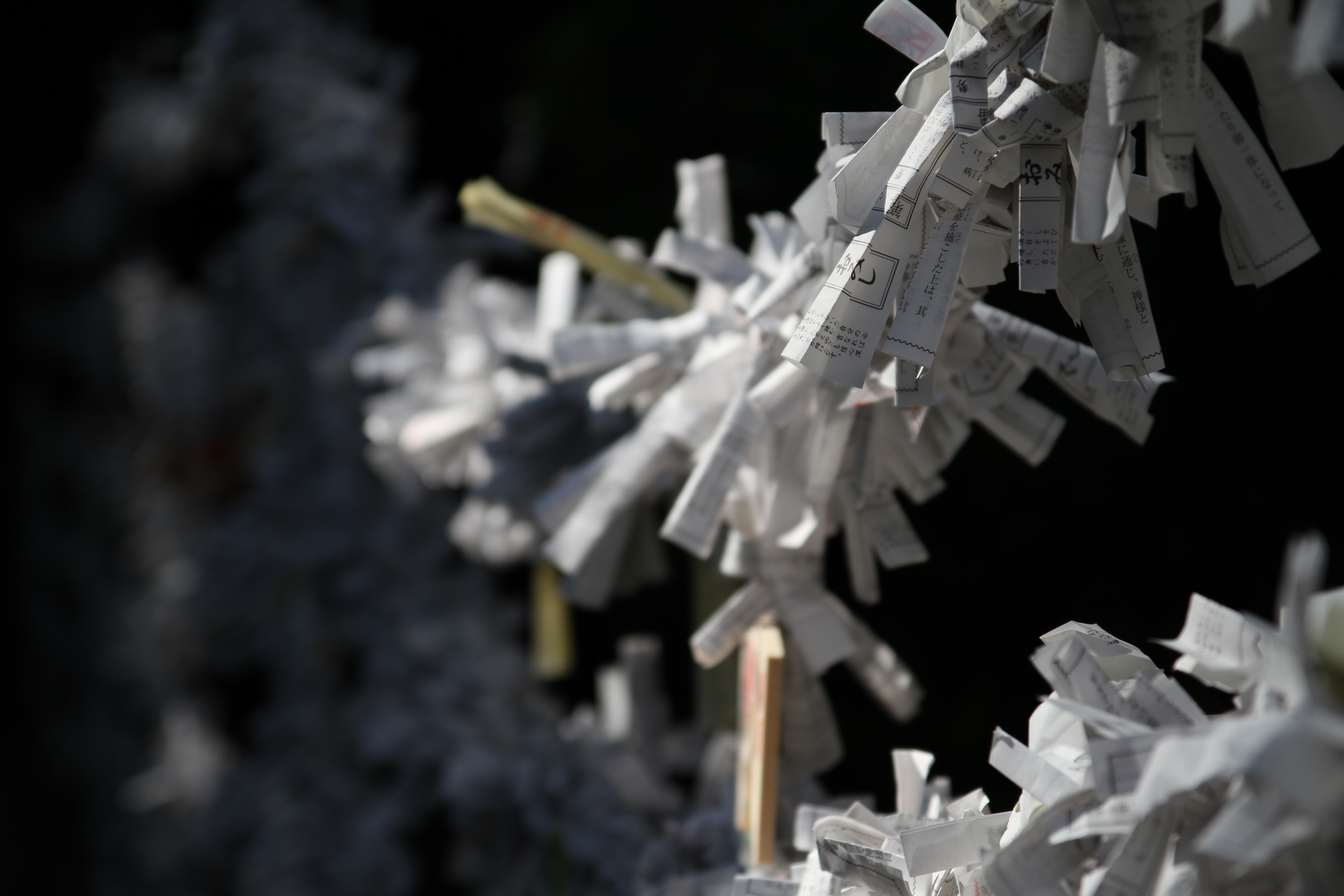 <b>EOS 7D / 17-70mm F2.8-4 DC Macro OS HSM / 約3.6MB / 5,184×3,456 / 1/1250秒 / F4 / -0.3EV / ISO100 / WB:オート / 70mm</b>