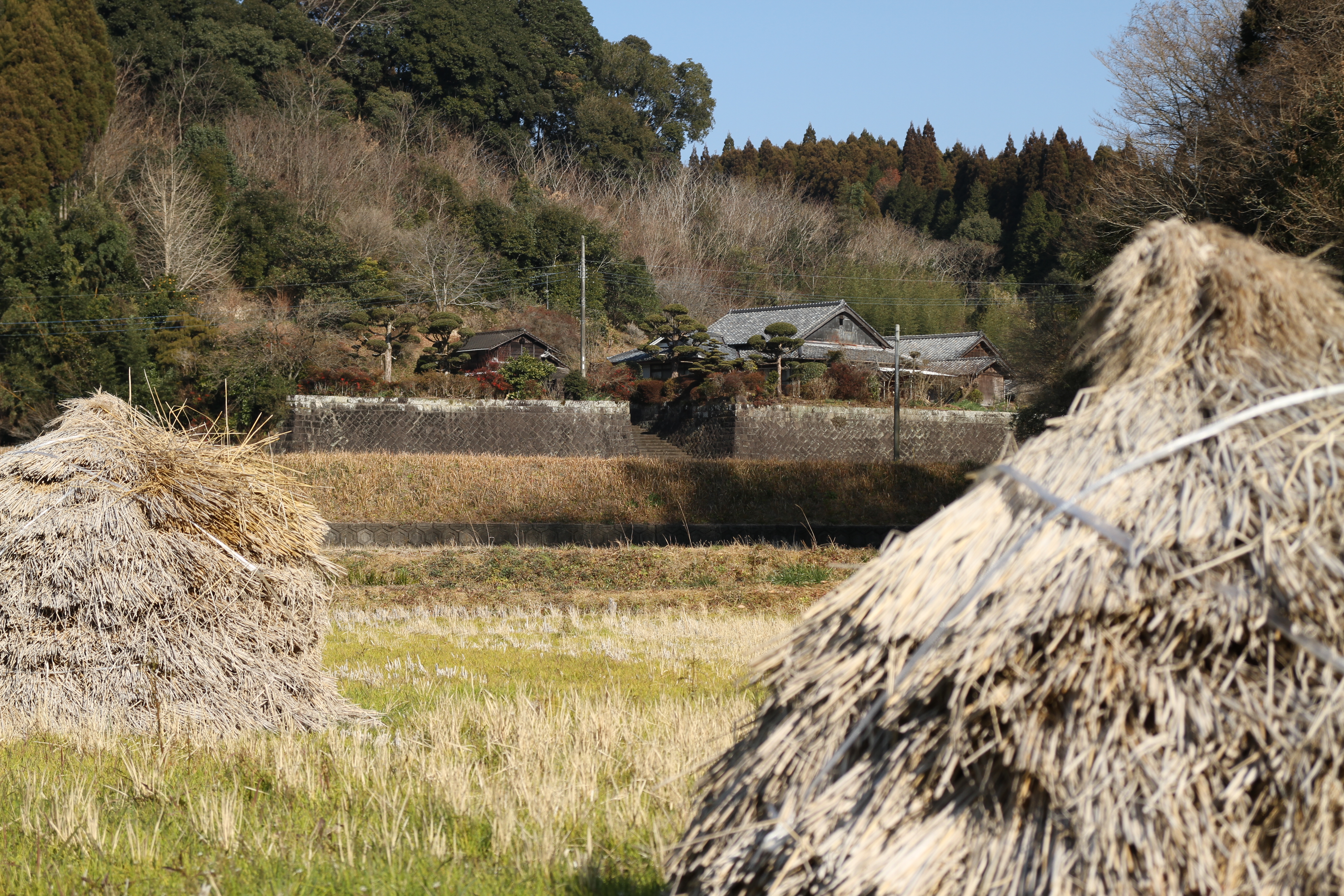 <b>EOS 7D / 17-70mm F2.8-4 DC Macro OS HSM / 約9.5MB / 5,184×3,456 / 1/500秒 / F5.6 / 0EV / ISO100 / WB:太陽光 / 50mm</b>