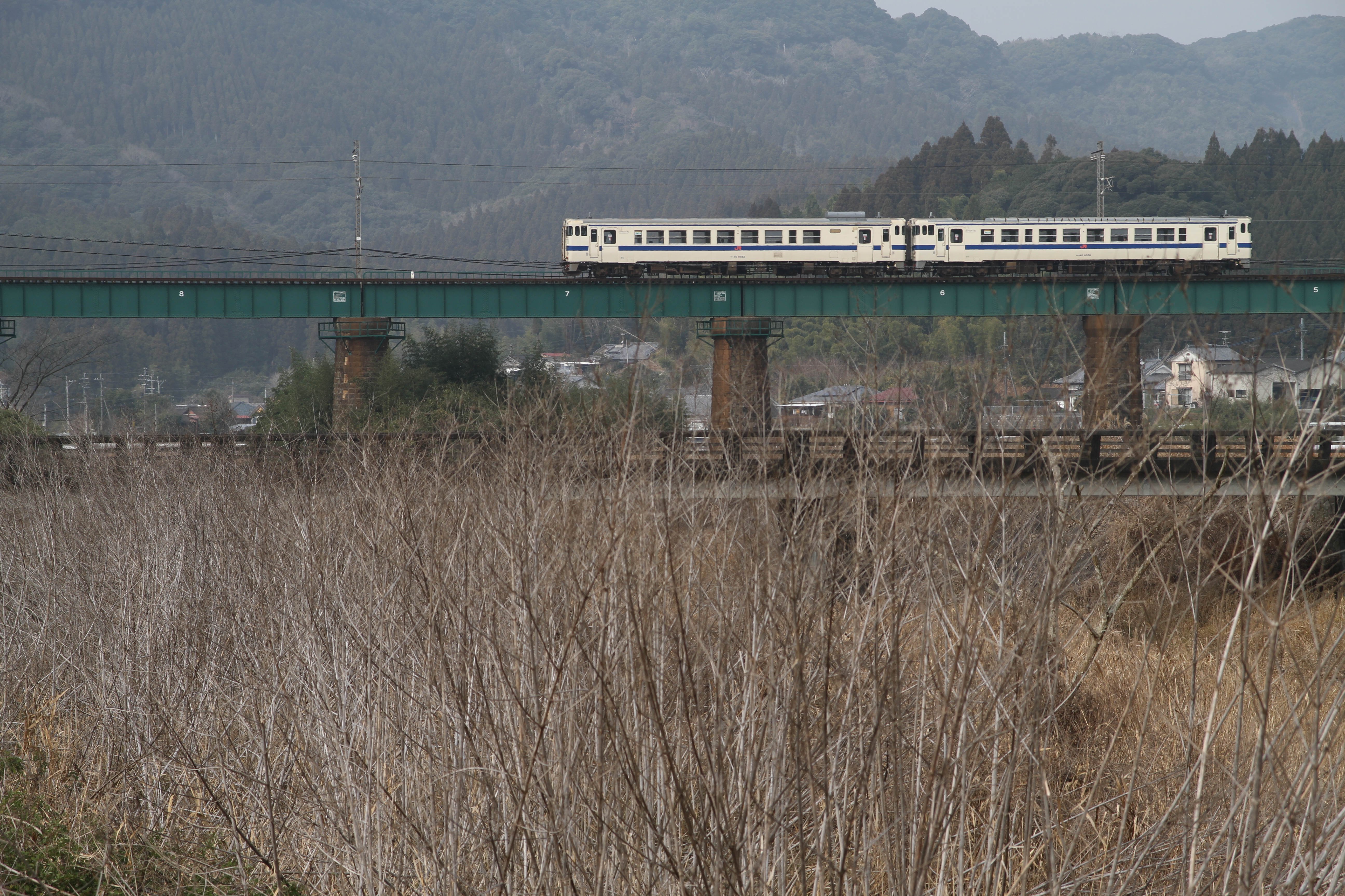 <b>EOS 7D / 17-70mm F2.8-4 DC Macro OS HSM / 約8.5MB / 5,184×3,456 / 1/500秒 / F5.6 / -0.3EV / ISO100 / WB:オート / 70mm</b>