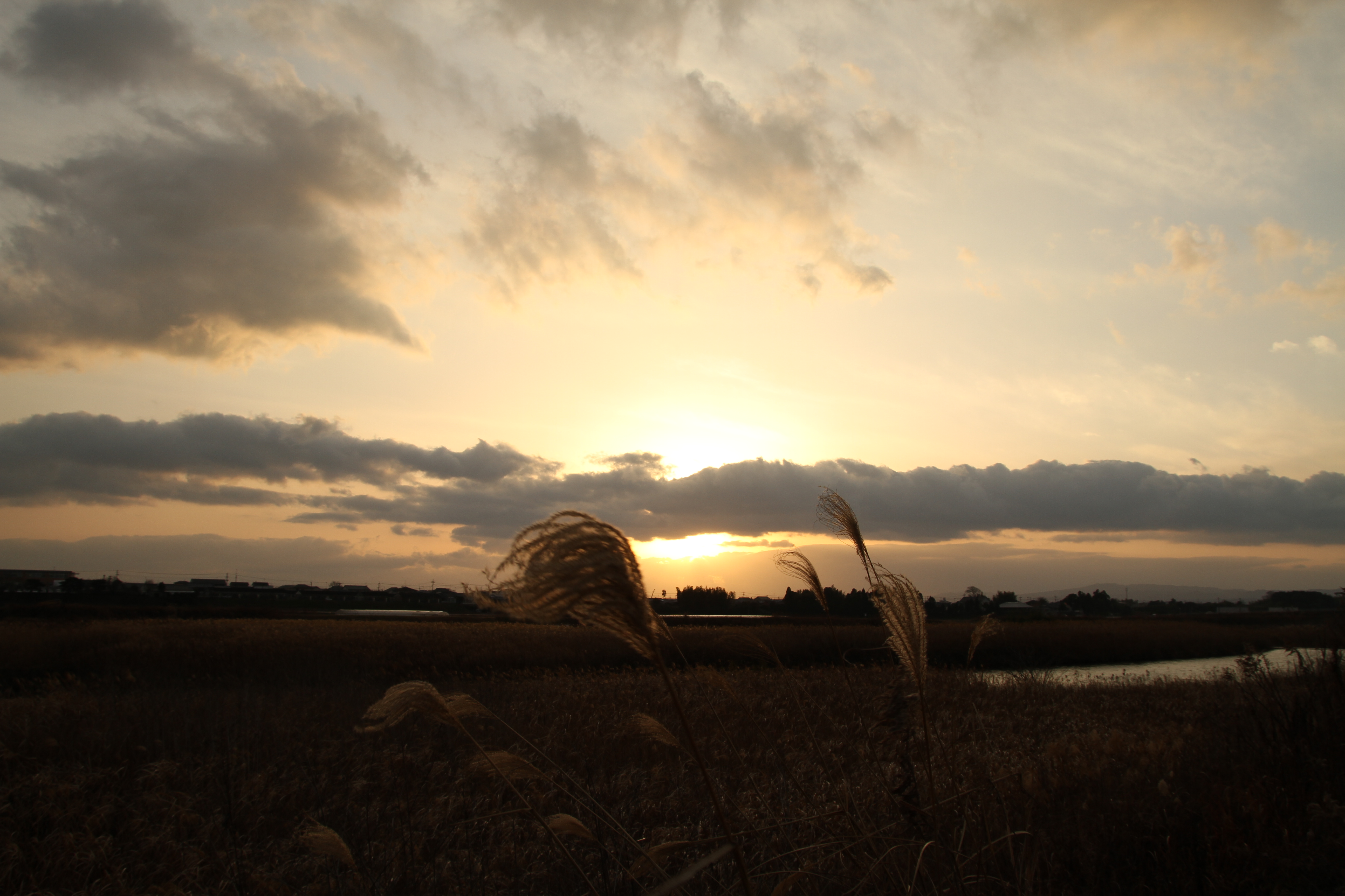 <b>EOS 7D / 17-70mm F2.8-4 DC Macro OS HSM / 約3.9MB / 5,184×3,456 / 1/125秒 / F9 / 0EV / ISO100 / WB:くもり / 17mm</b>