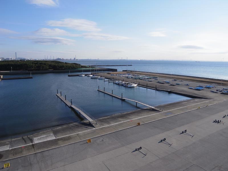 <b>元画像の一例（GXR）</b>