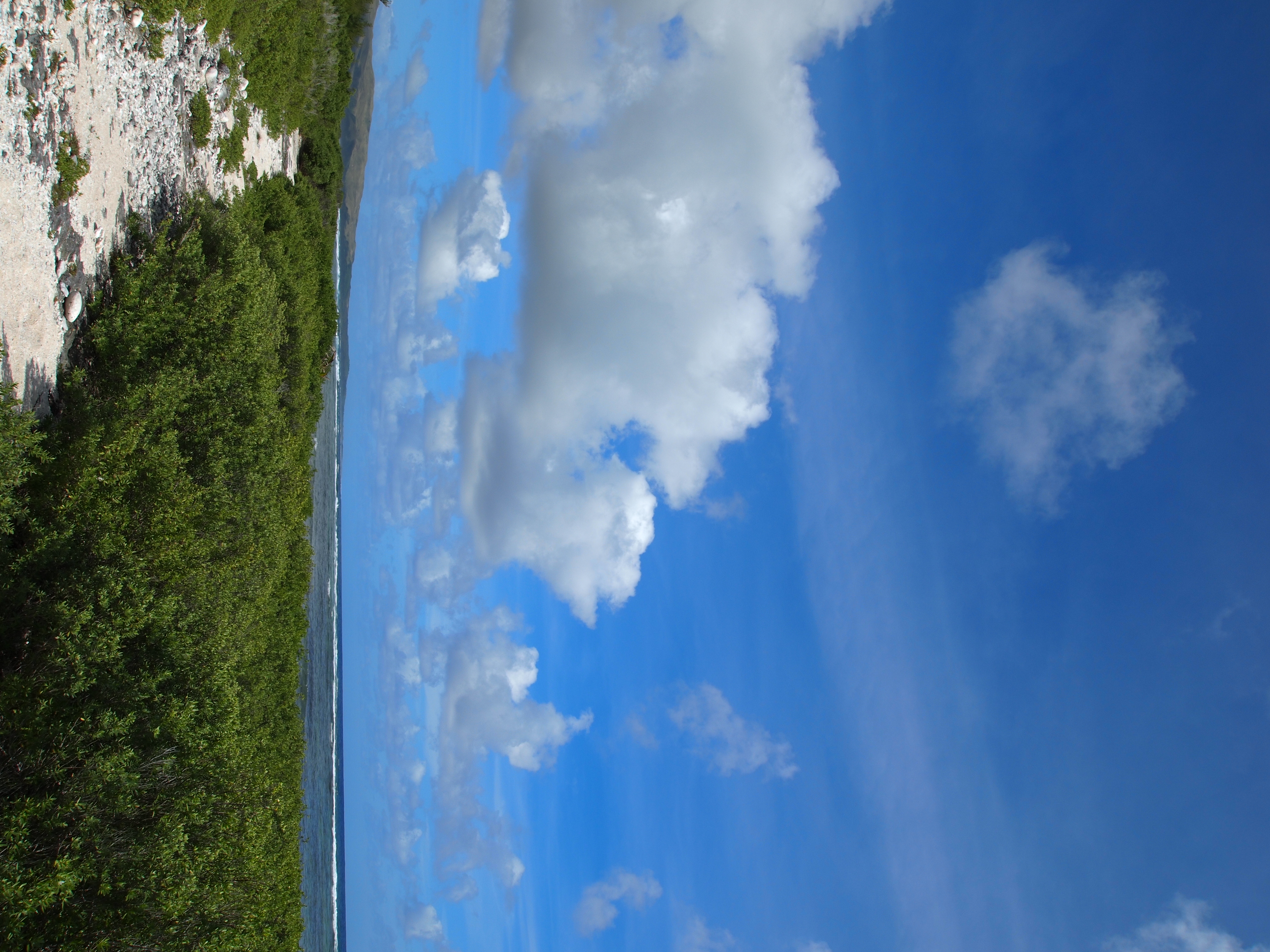 <b>仕上がり：i-FINISH（標準）</b>