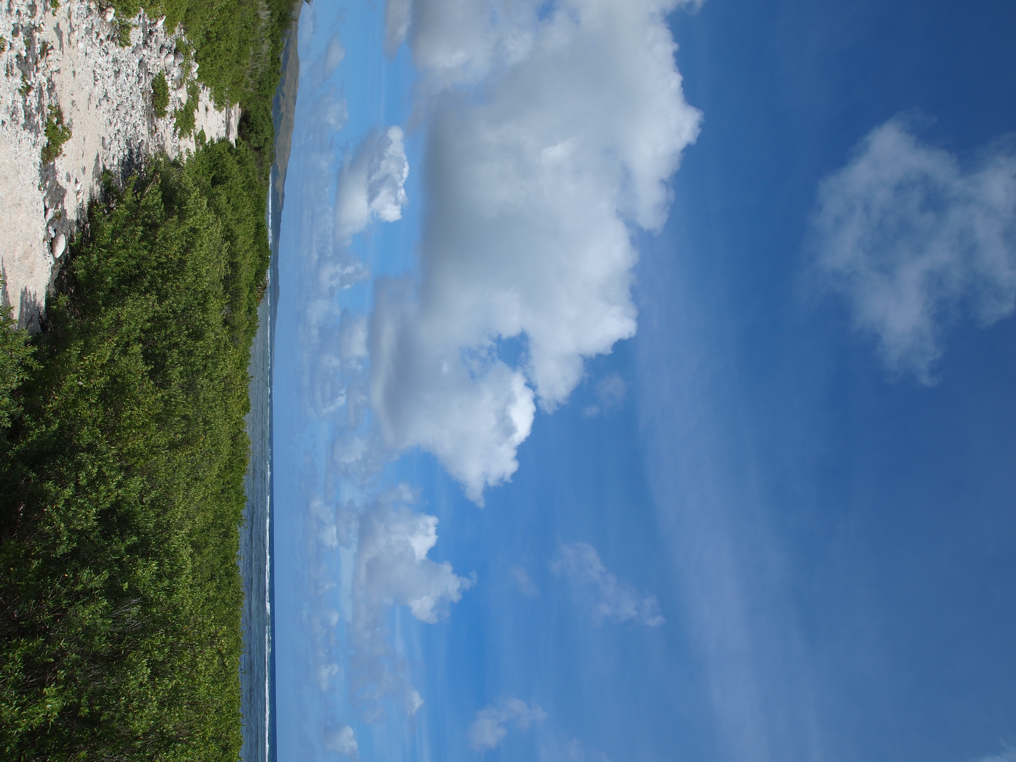 <b>仕上がり：VIVID</b>