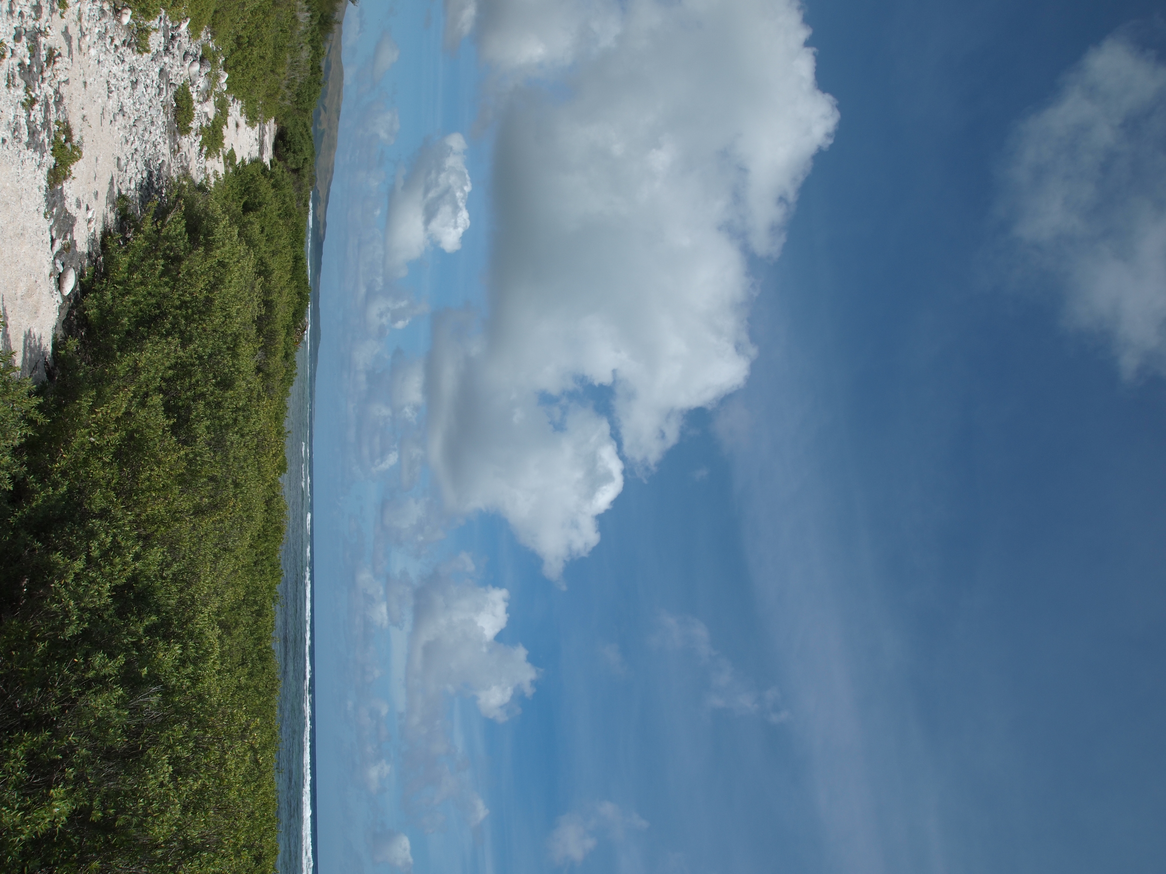 <b>仕上がり：FLAT</b>