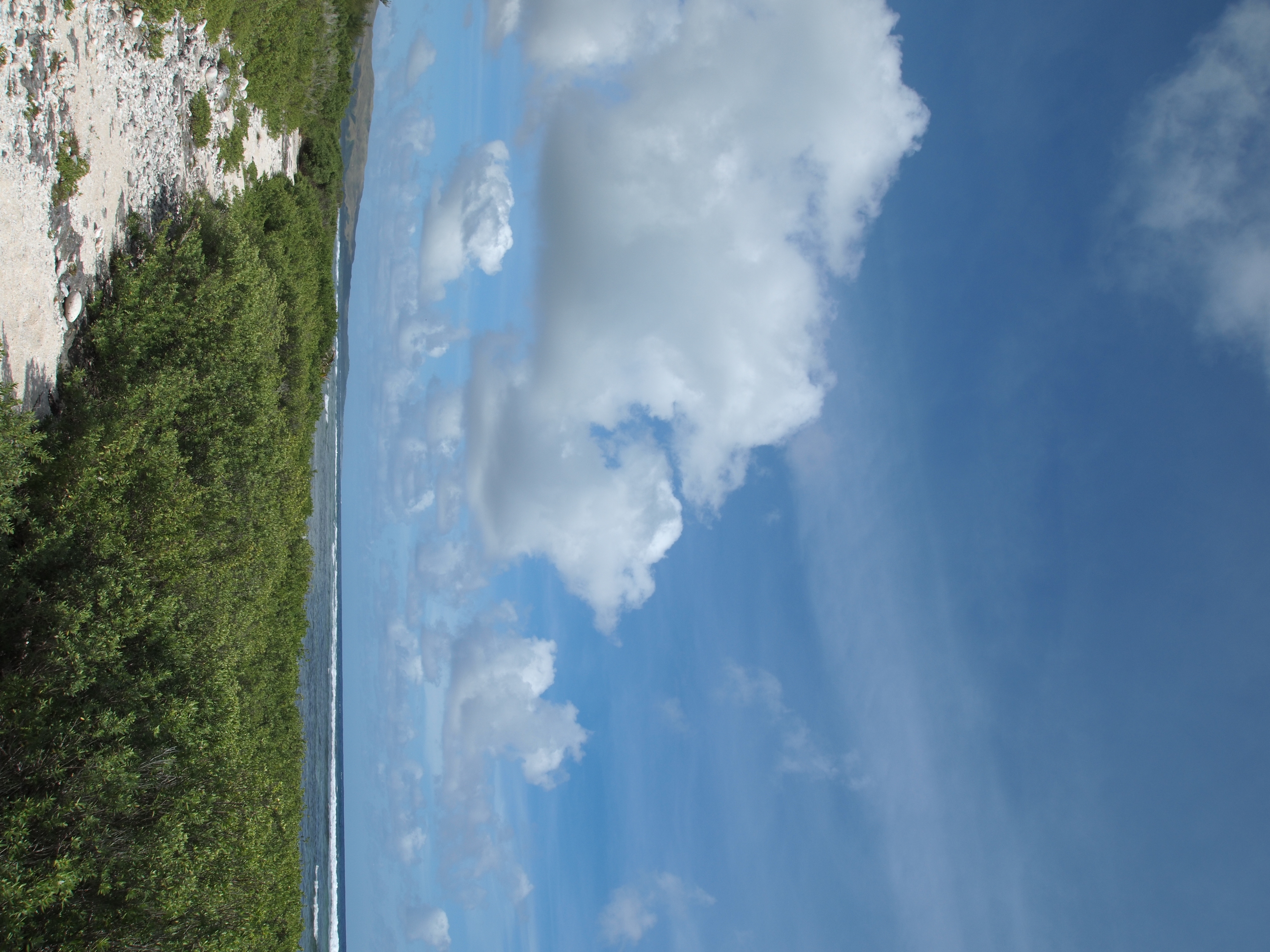 <b>仕上がり：PORTRAIT</b>