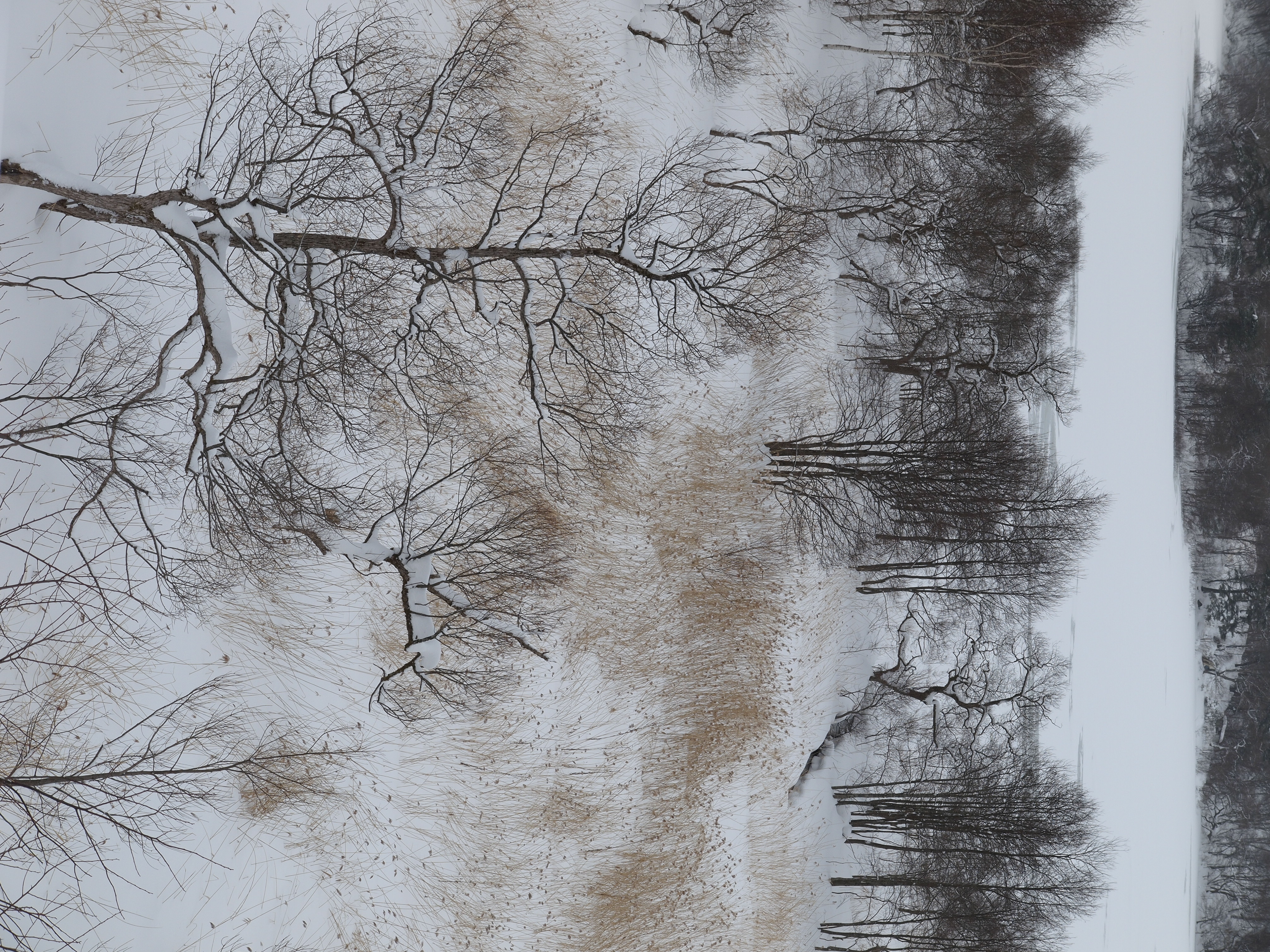 <b>仕上がり：i-FINISH（強）</b>