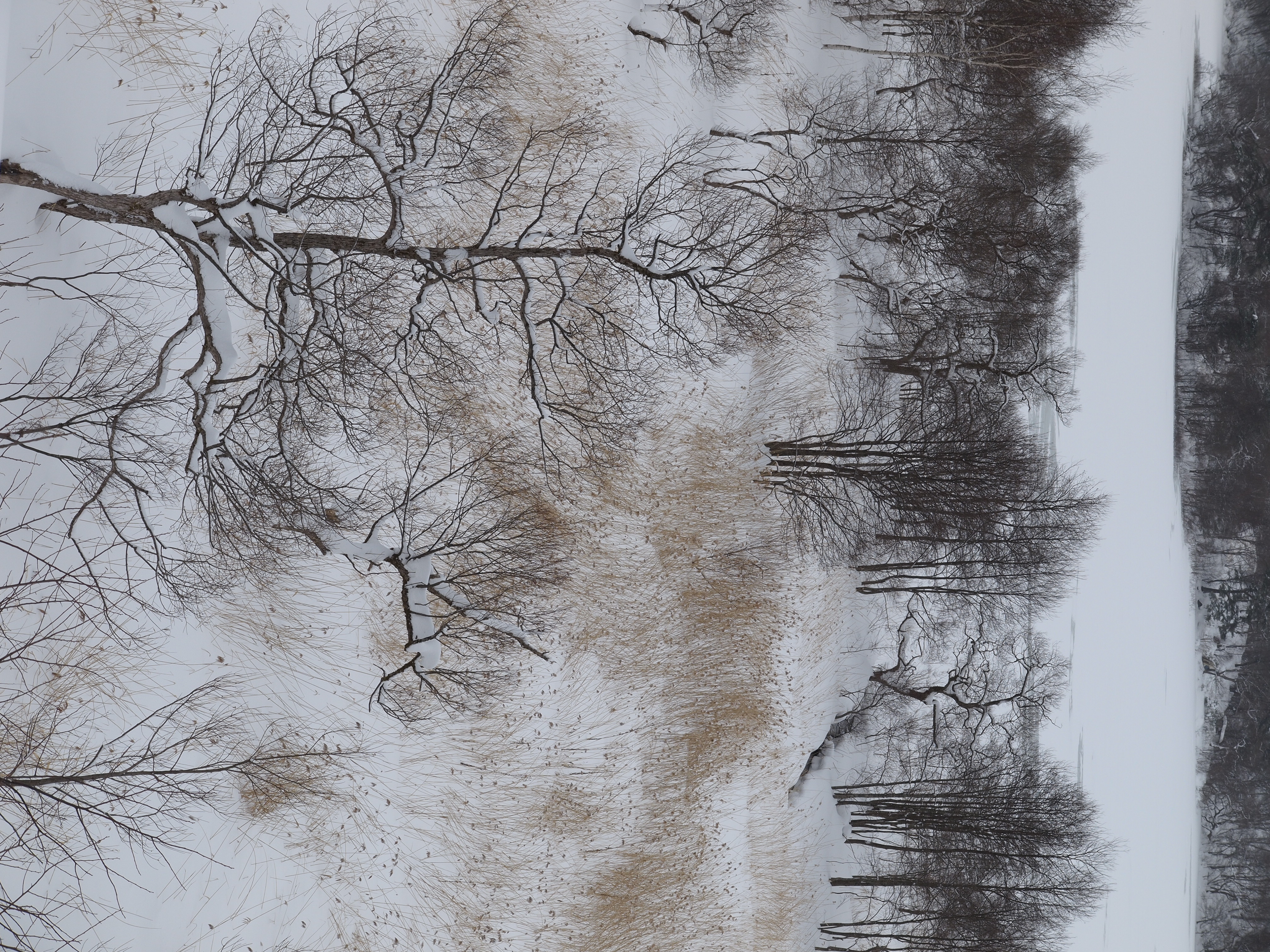 <b>仕上がり：i-FINISH（弱）</b>