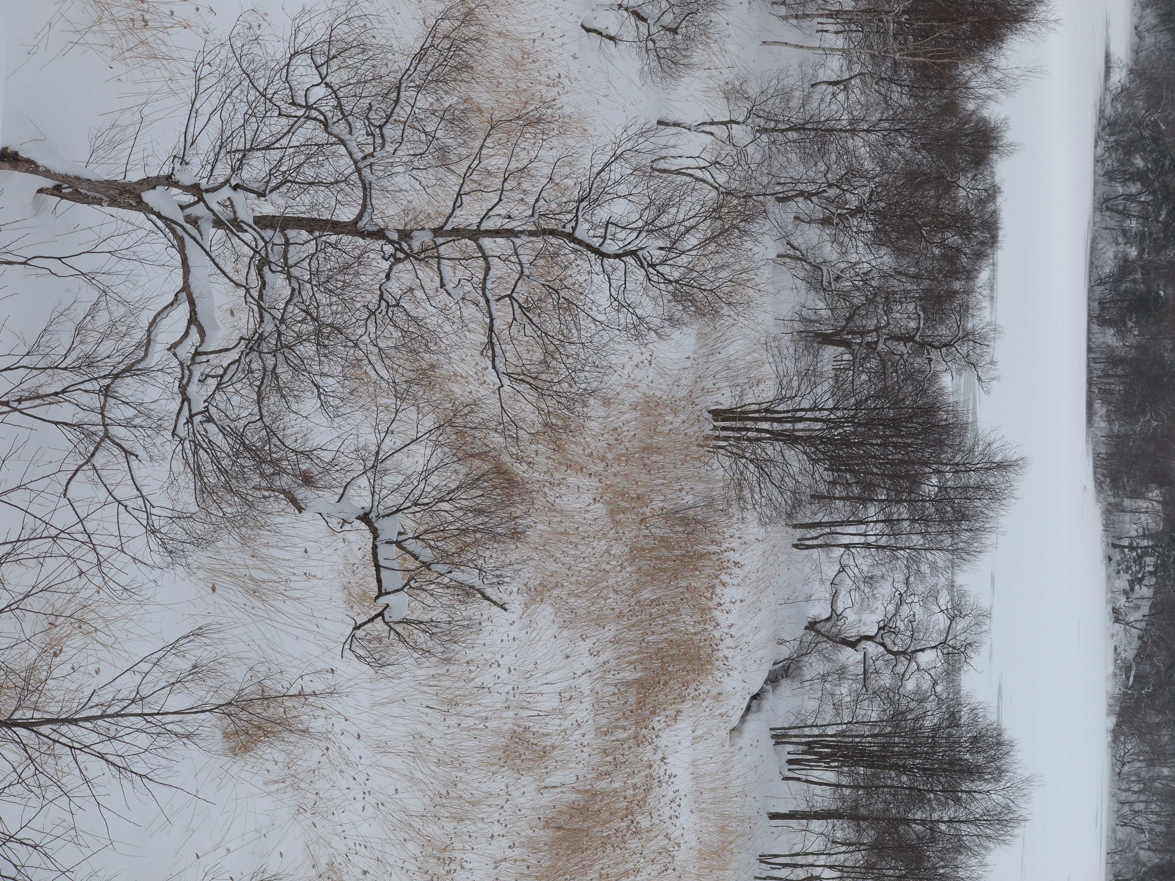 <b>仕上がり：FLAT</b>