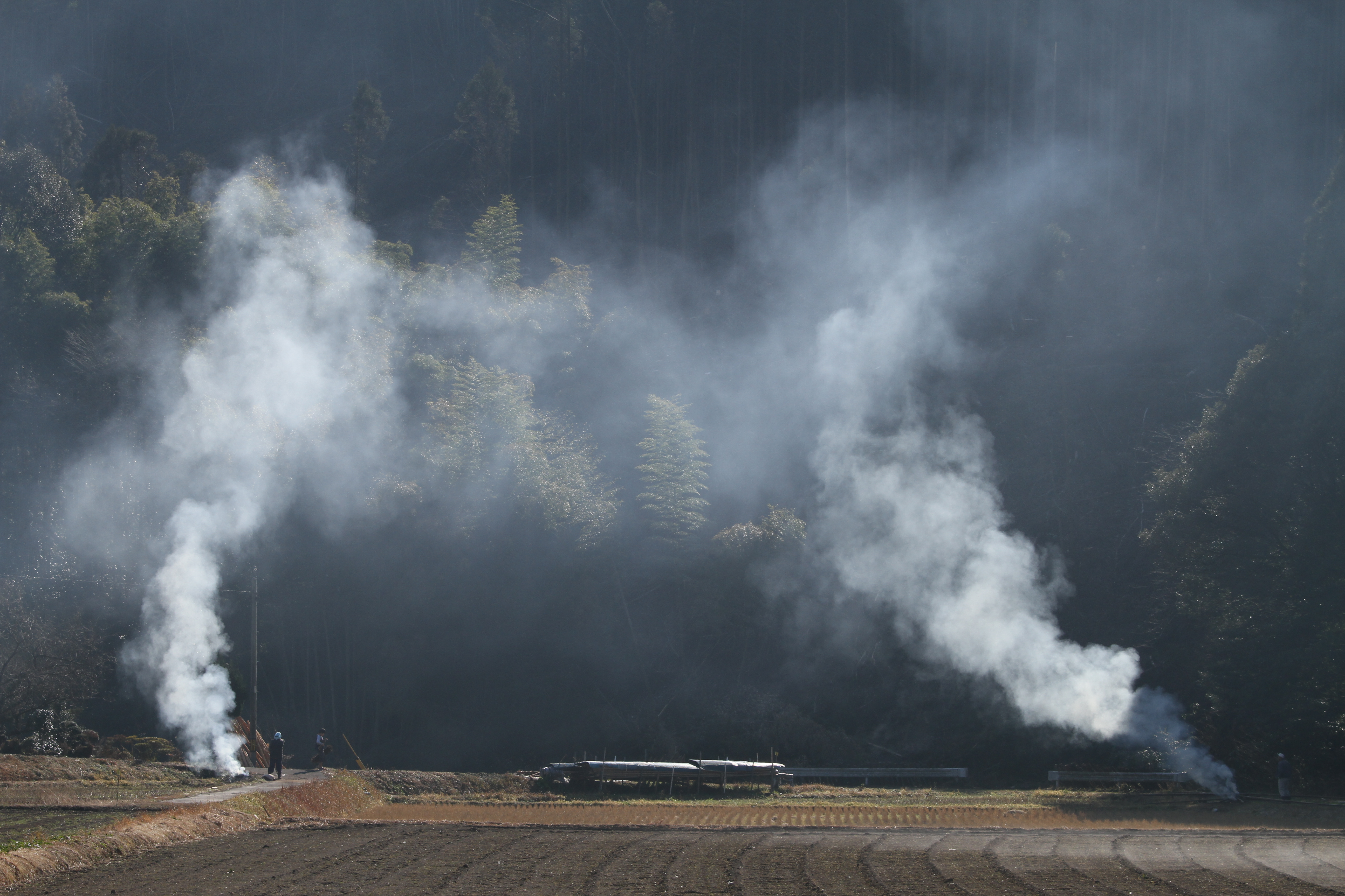 <b>EOS 7D / 70-300mm F4-5.6 DG OS / 約5.7MB / 5,184×3,456 / 1/800秒 / F8 / -0.3EV / ISO200 / WB:太陽光 / 88mm</b>